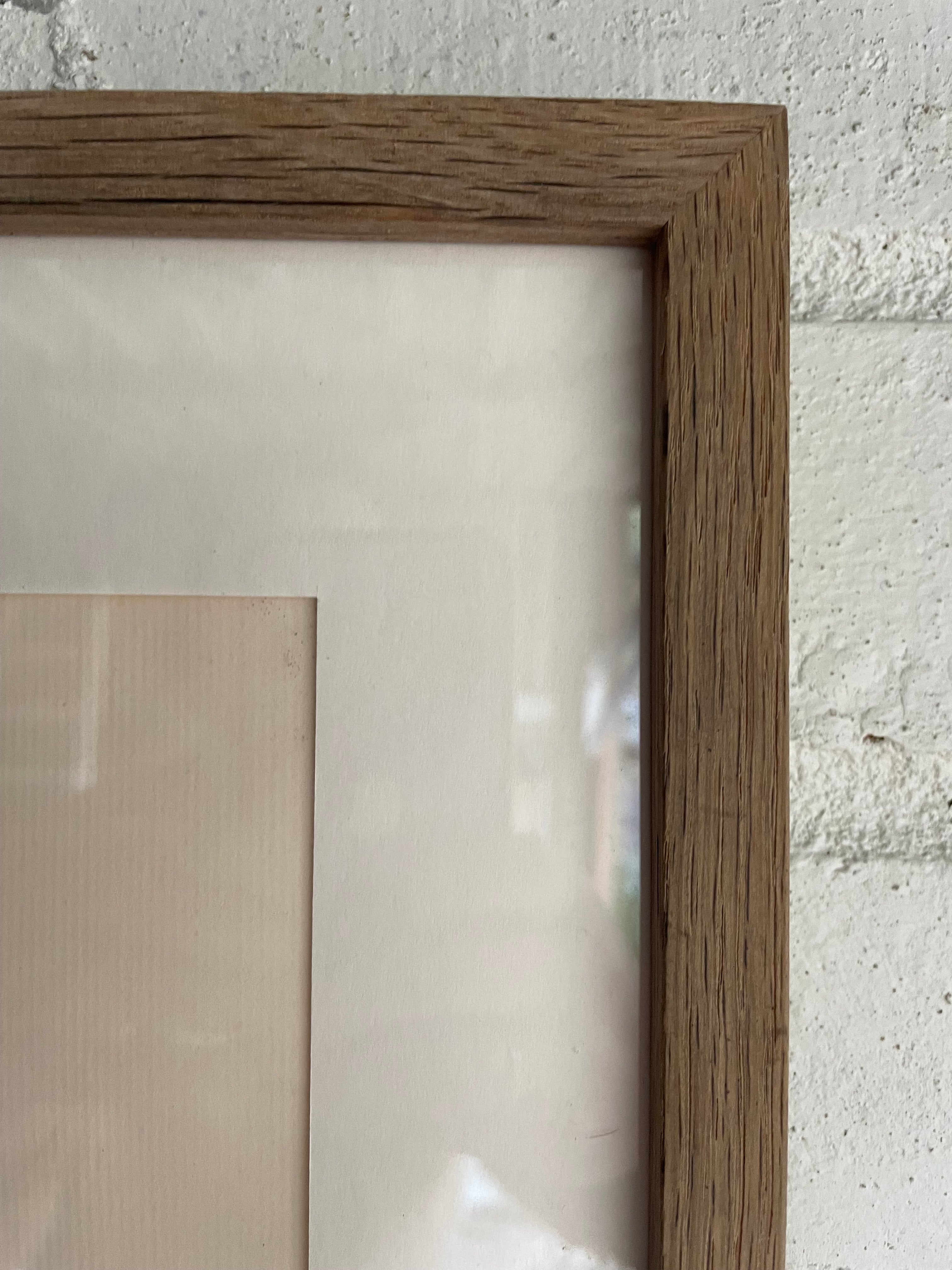 Framed 19th Century Botanical Illustration of Roses