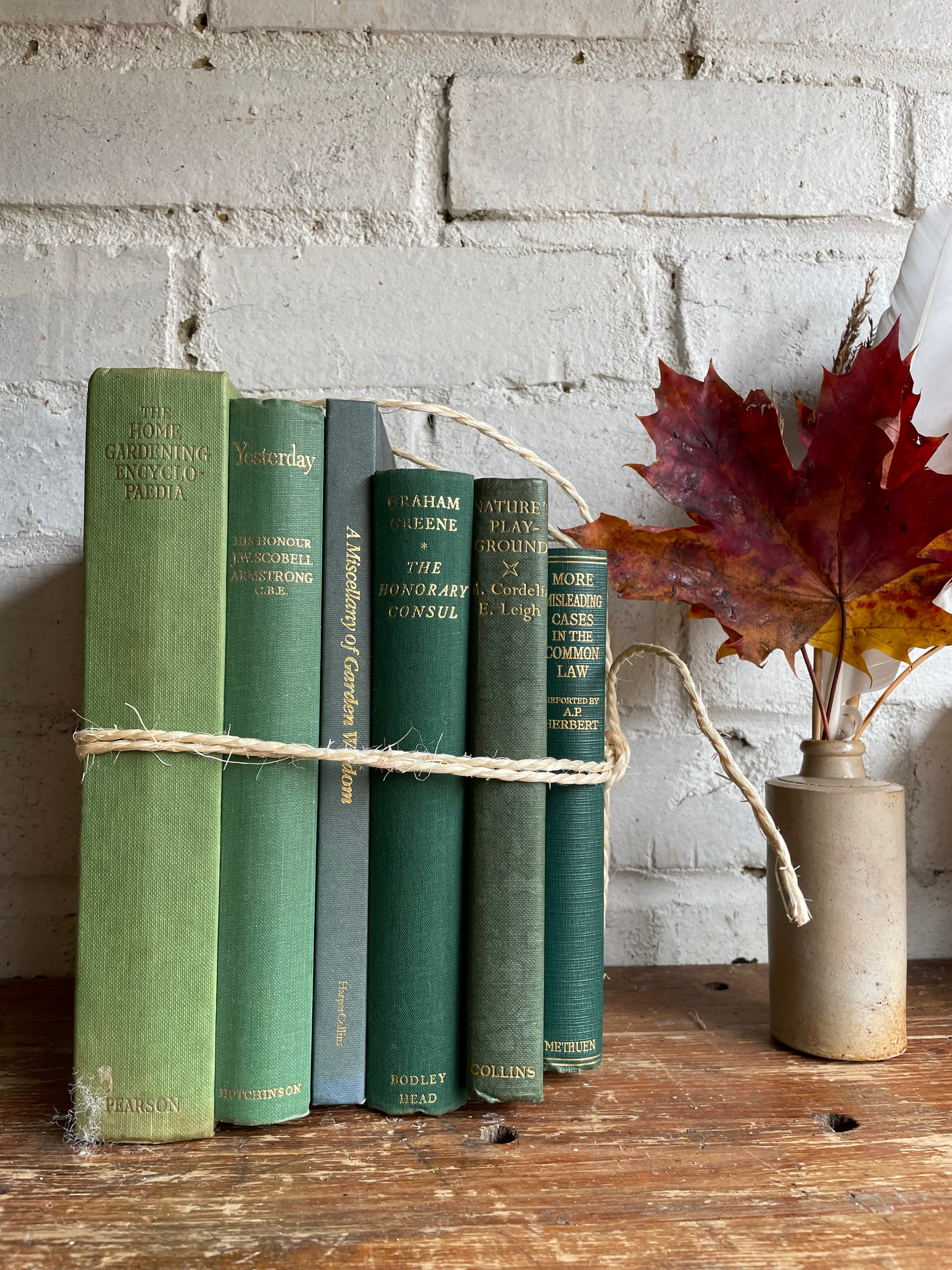 Vintage Book Bundle in Green Hues