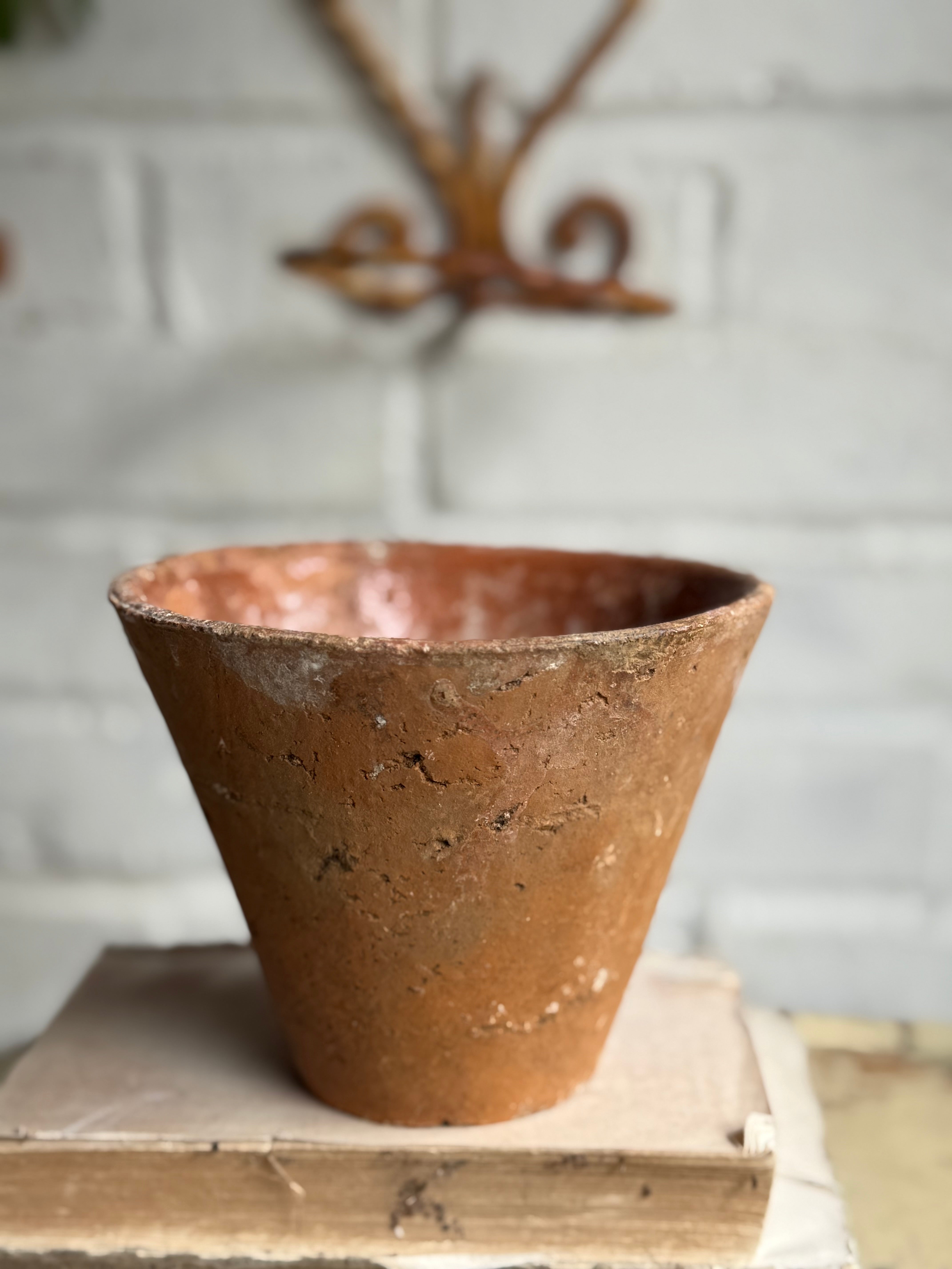 Rustic French Iron Plant Holder with Antique Resin Pot 1