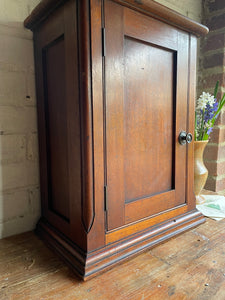 19th Century Victorian Oak Medicine Cabinet with Two Shelves