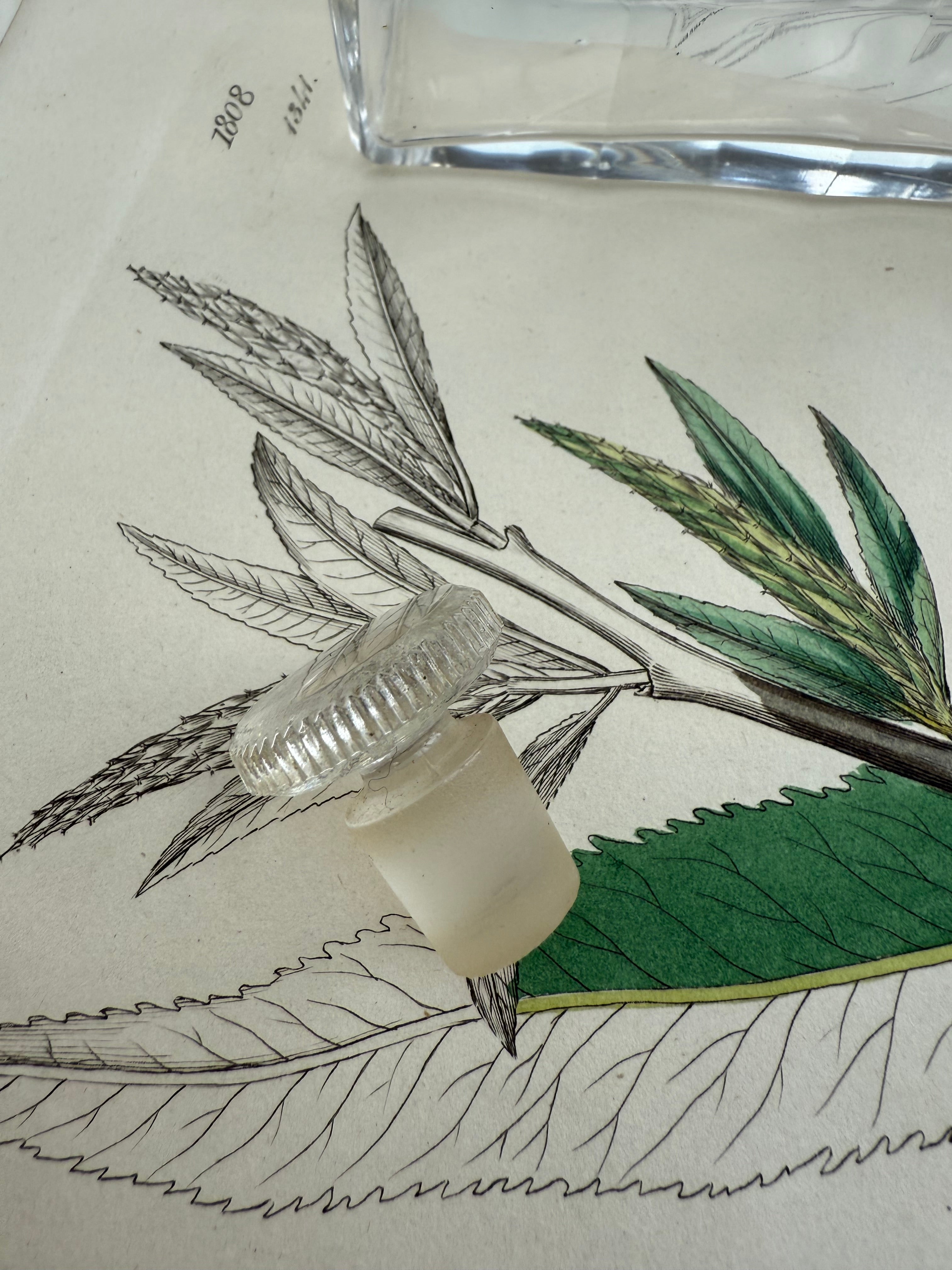 Large Glass Vintage French Cologne Bottle: Circa 1940s