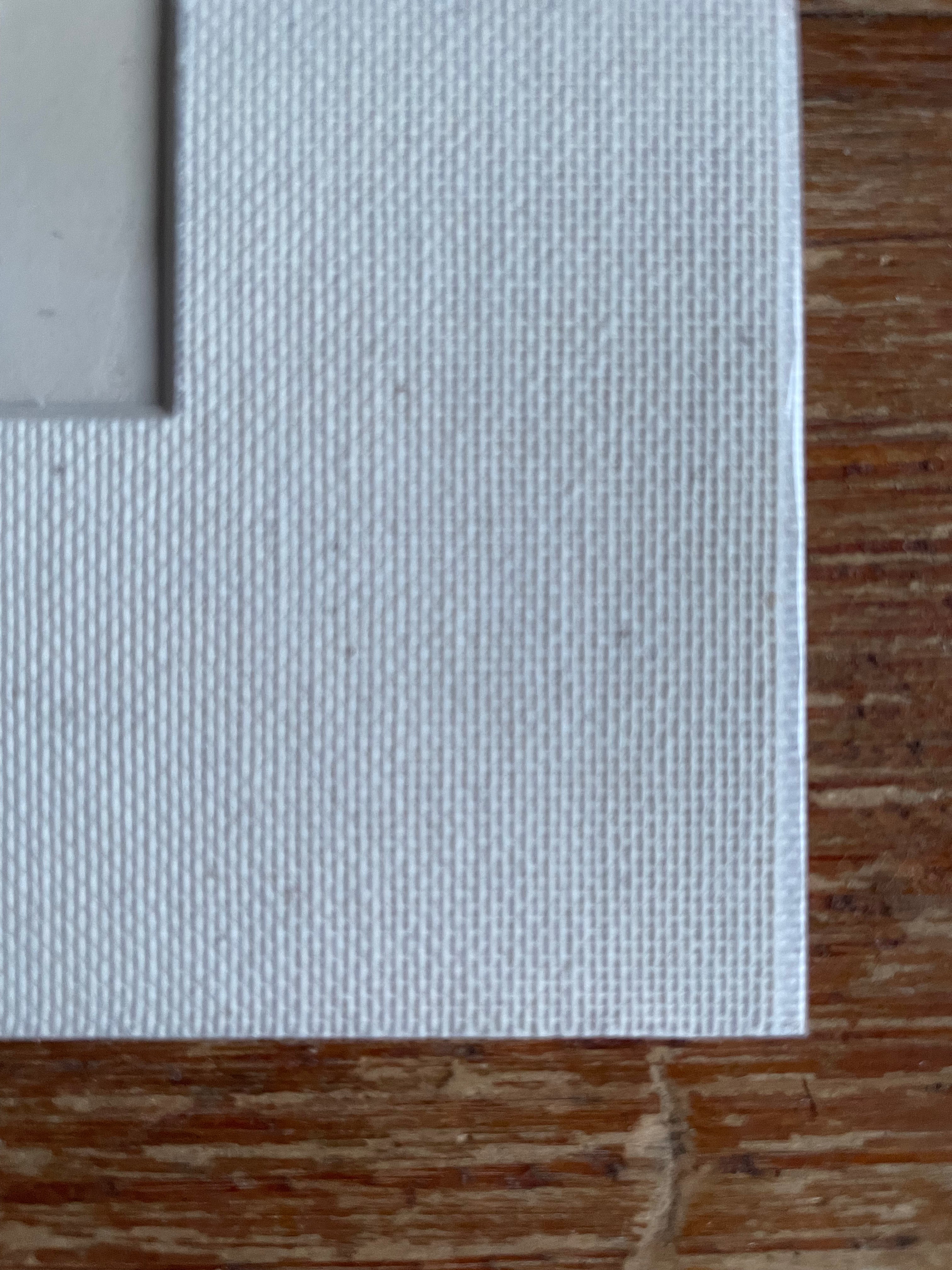 19th Century Botanical Illustration with Linen Mount - Satix Sphacetata