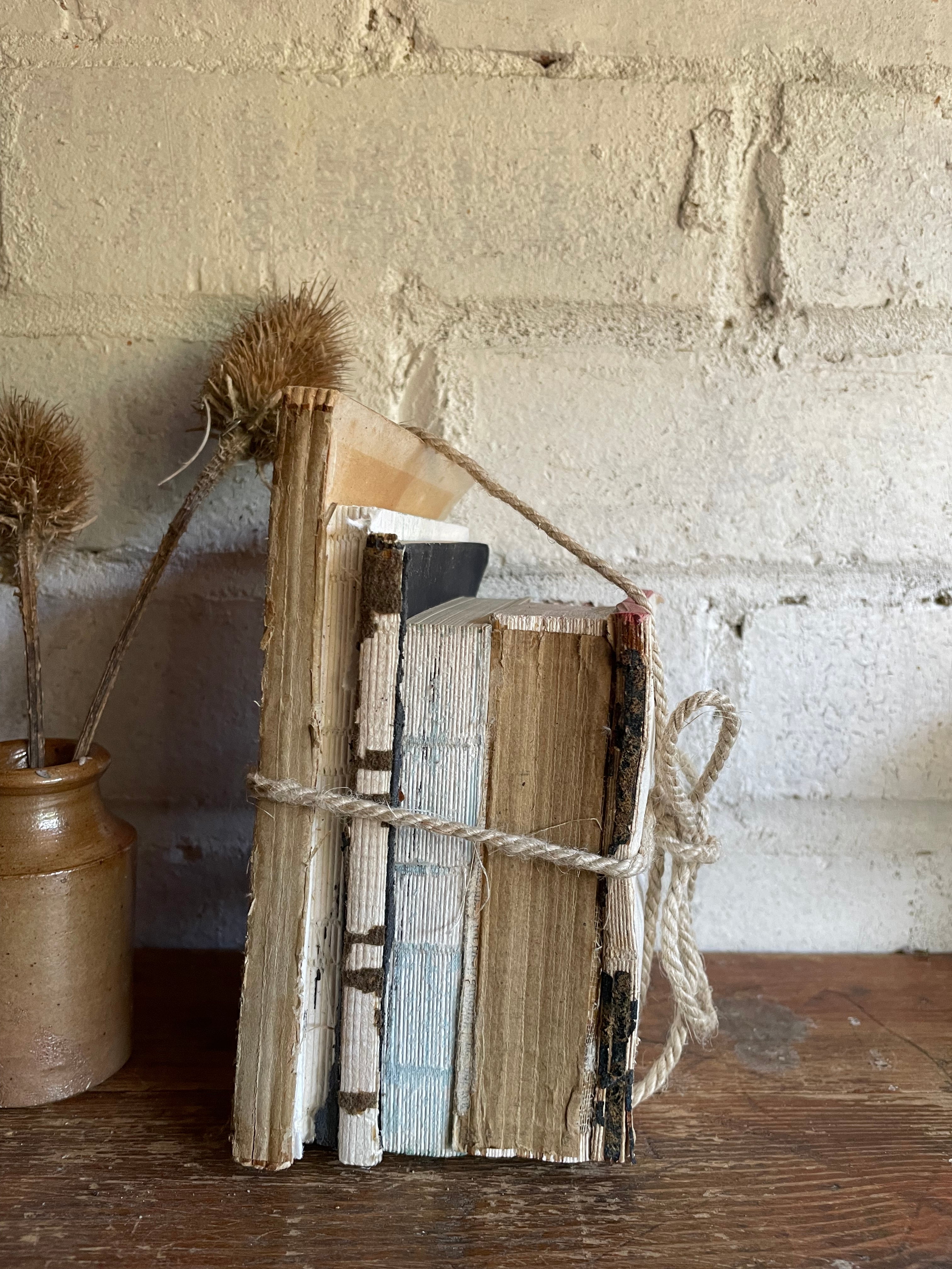 Teeny Beige Book Bundle