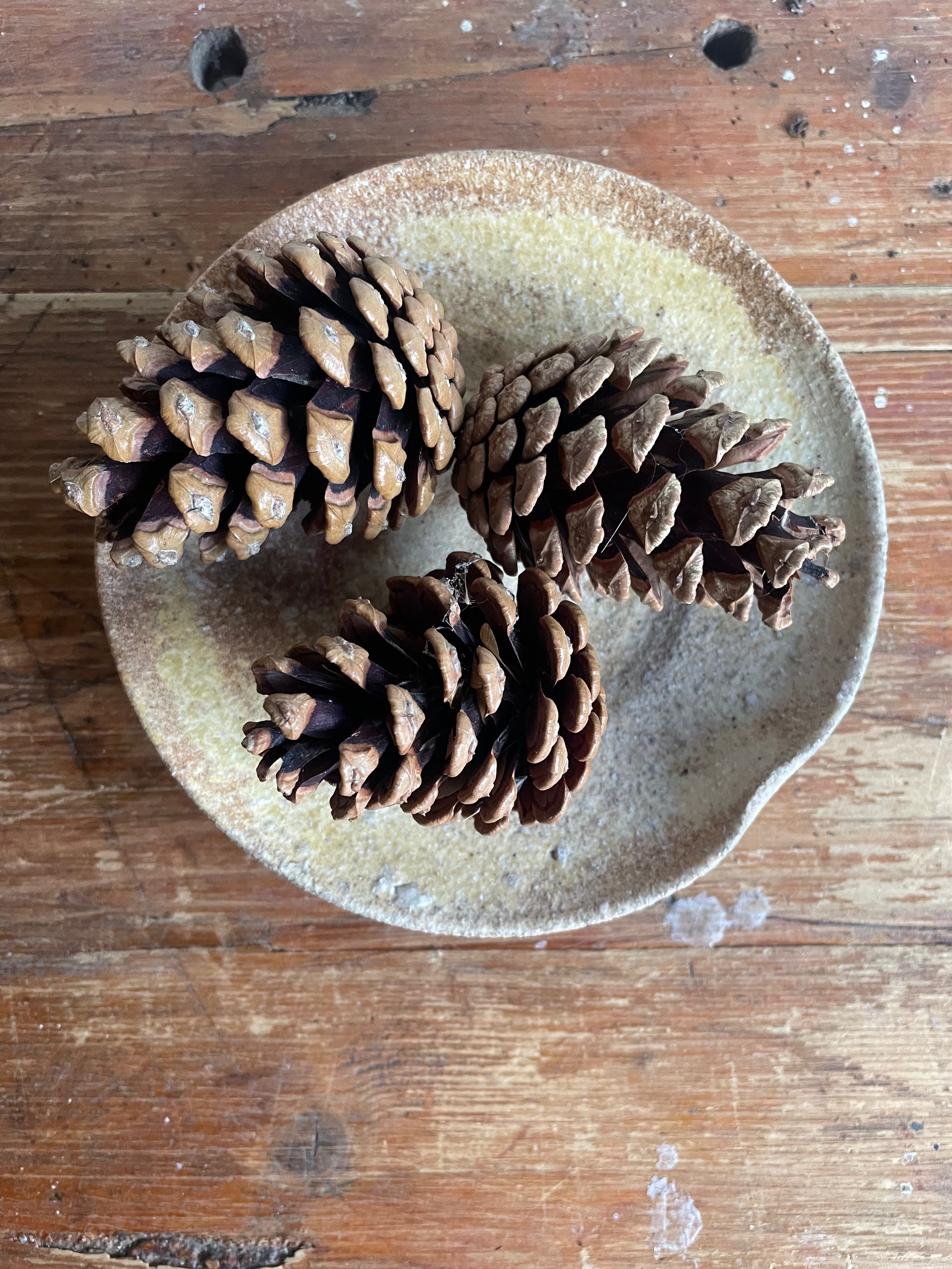 Vintage Japanese Studio Pottery - Small Bowl
