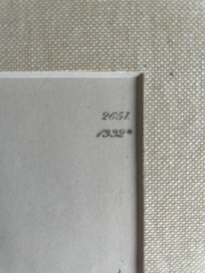 19th Century Botanical Illustration with Linen Mount - 2651