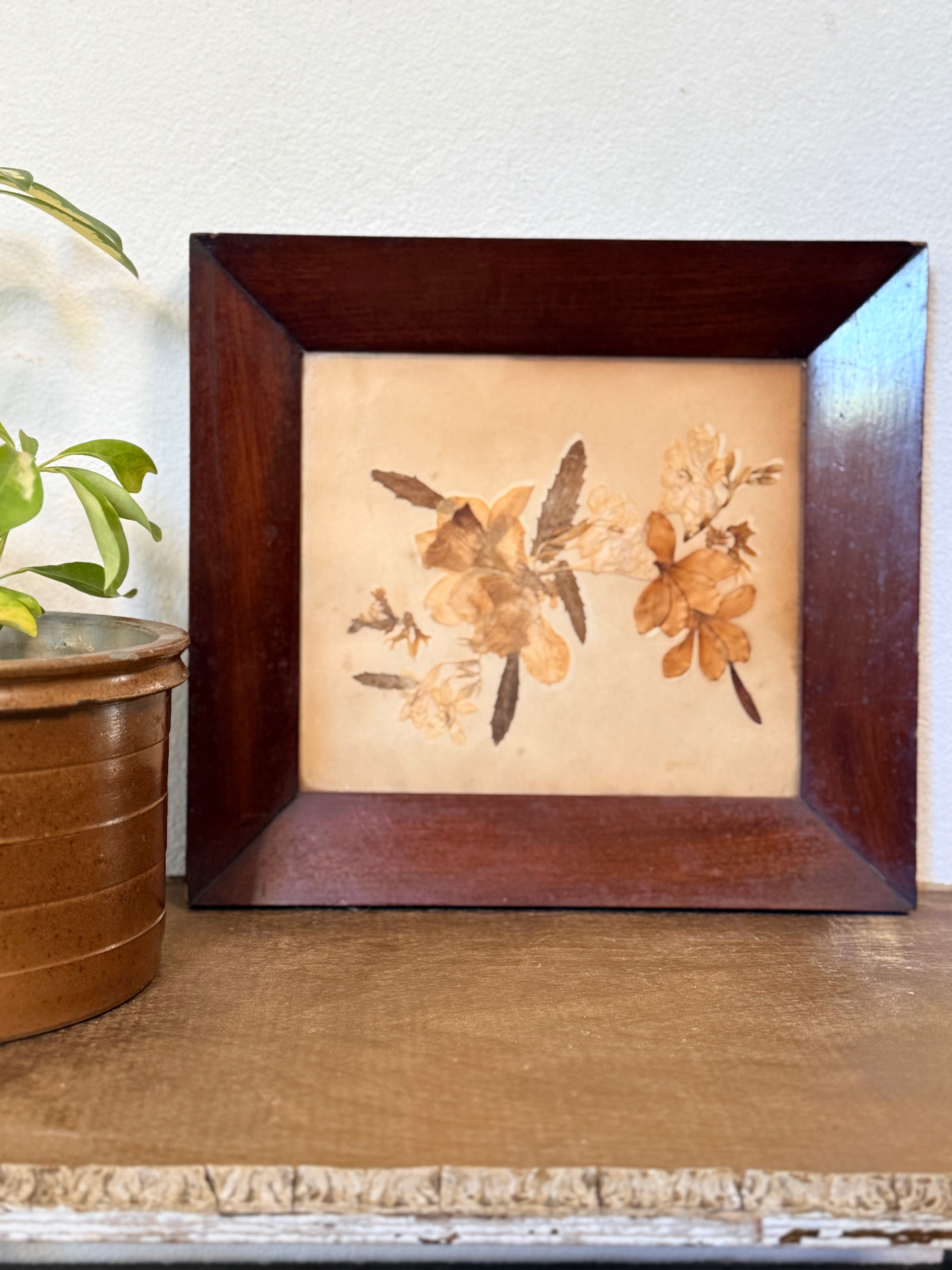 Framed 19th Century Victorian Pressed Flowers – Reclectic