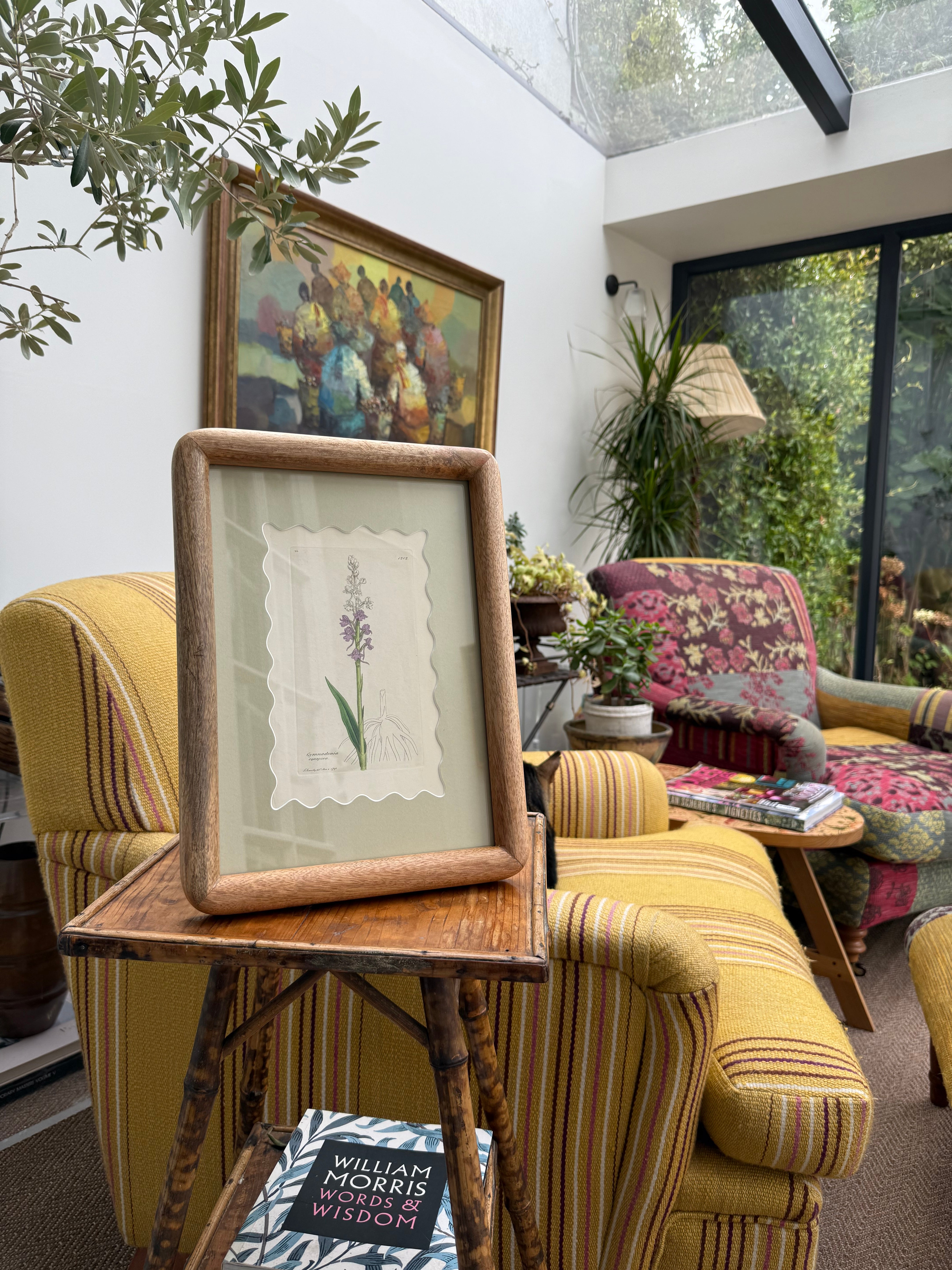 Bespoke Framed 19th Century Coloured Botanical Illustration