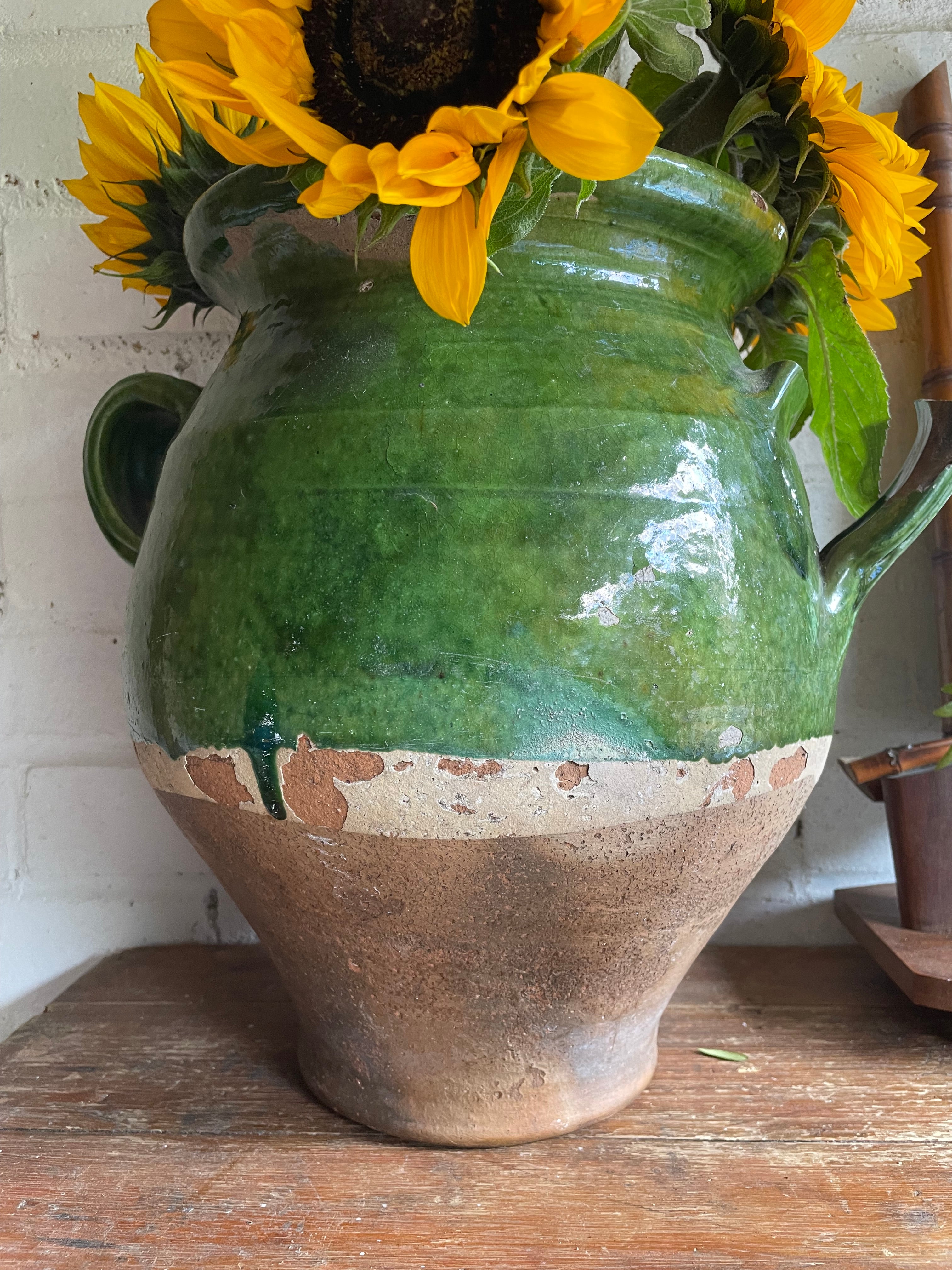 Large 19th Century French Green Confit Pot