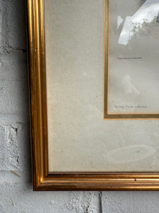 19th Century French Magazine Framed Hand Coloured Illustration - No 14