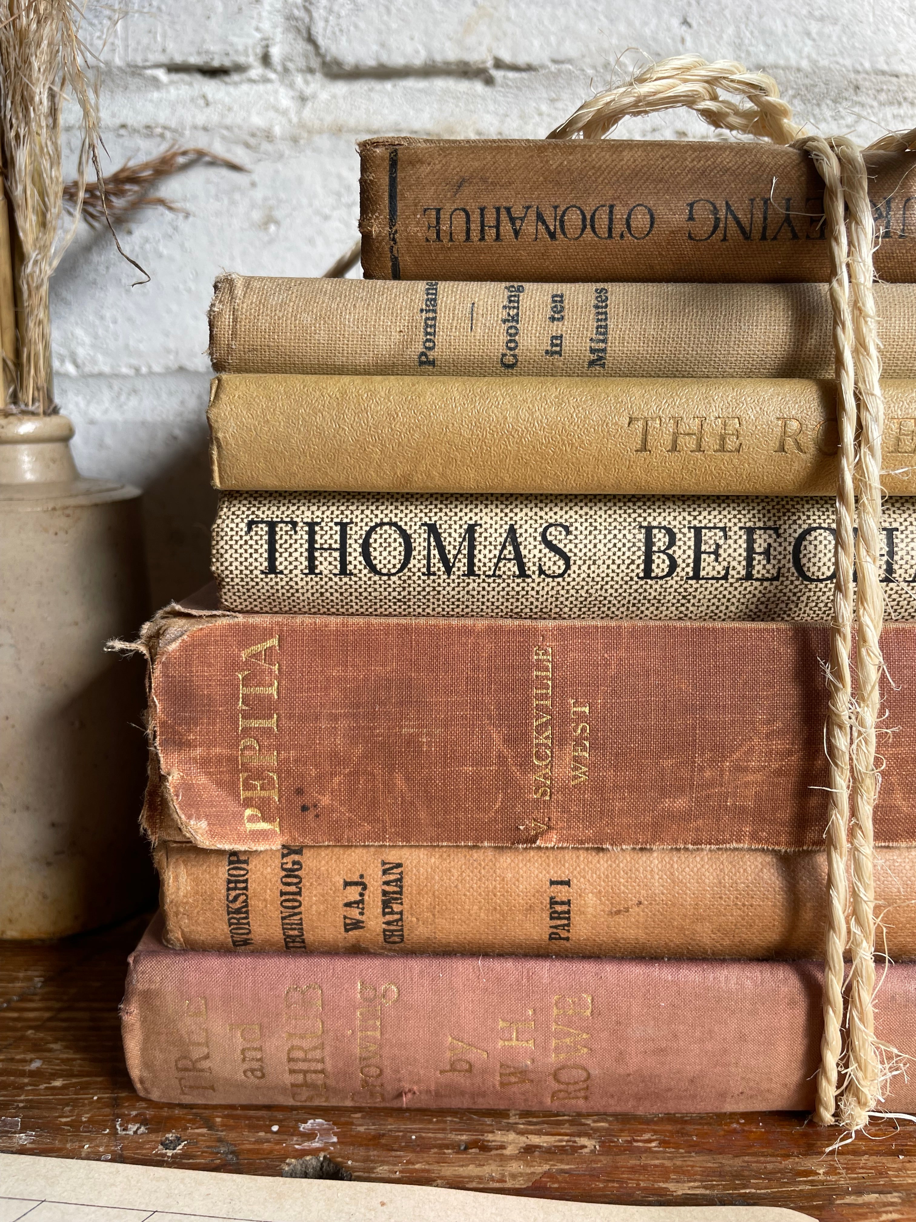 Beige Vintage Book Bundle