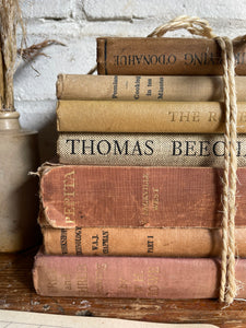 Beige Vintage Book Bundle