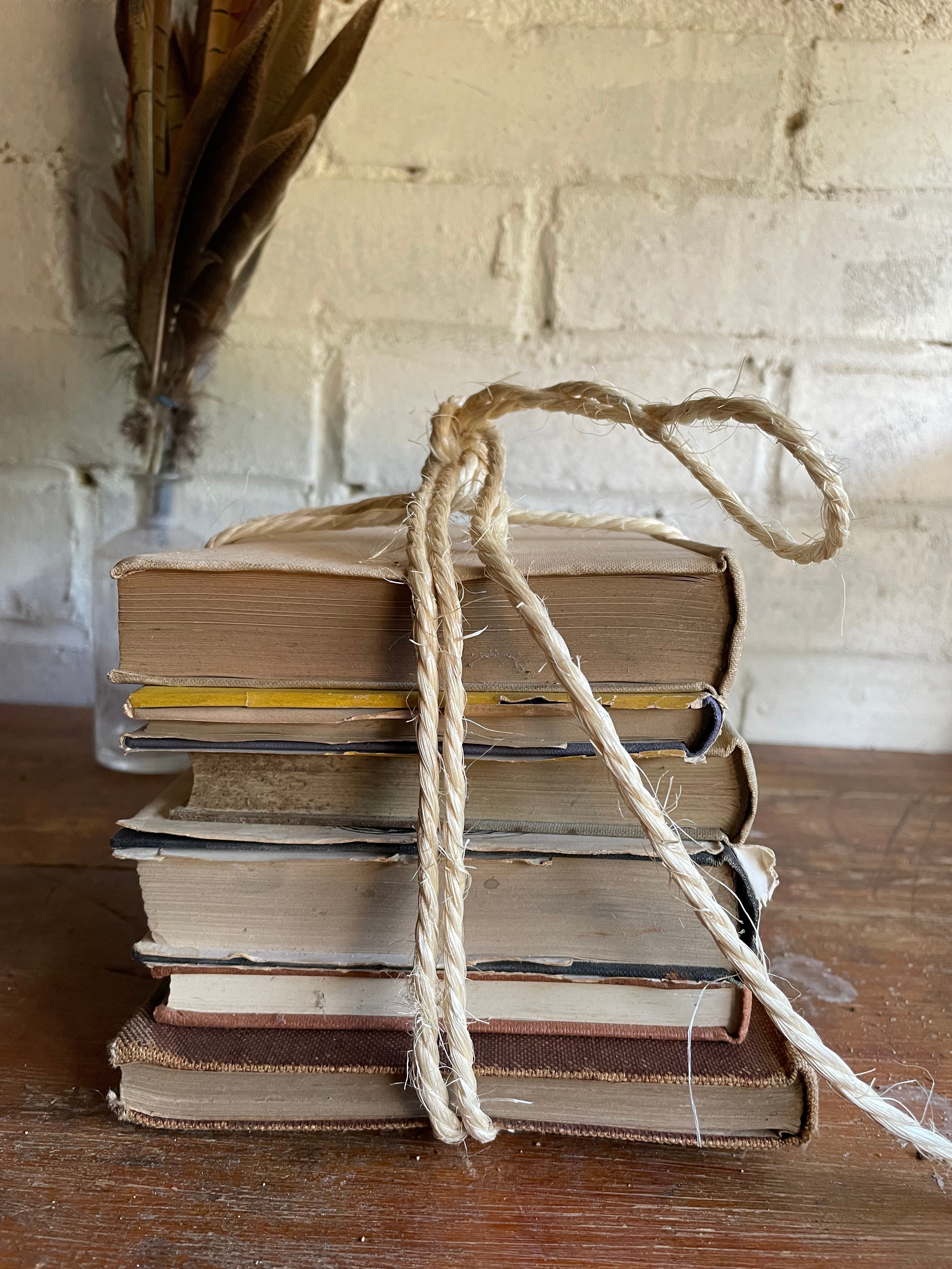 Beige Book Bundle