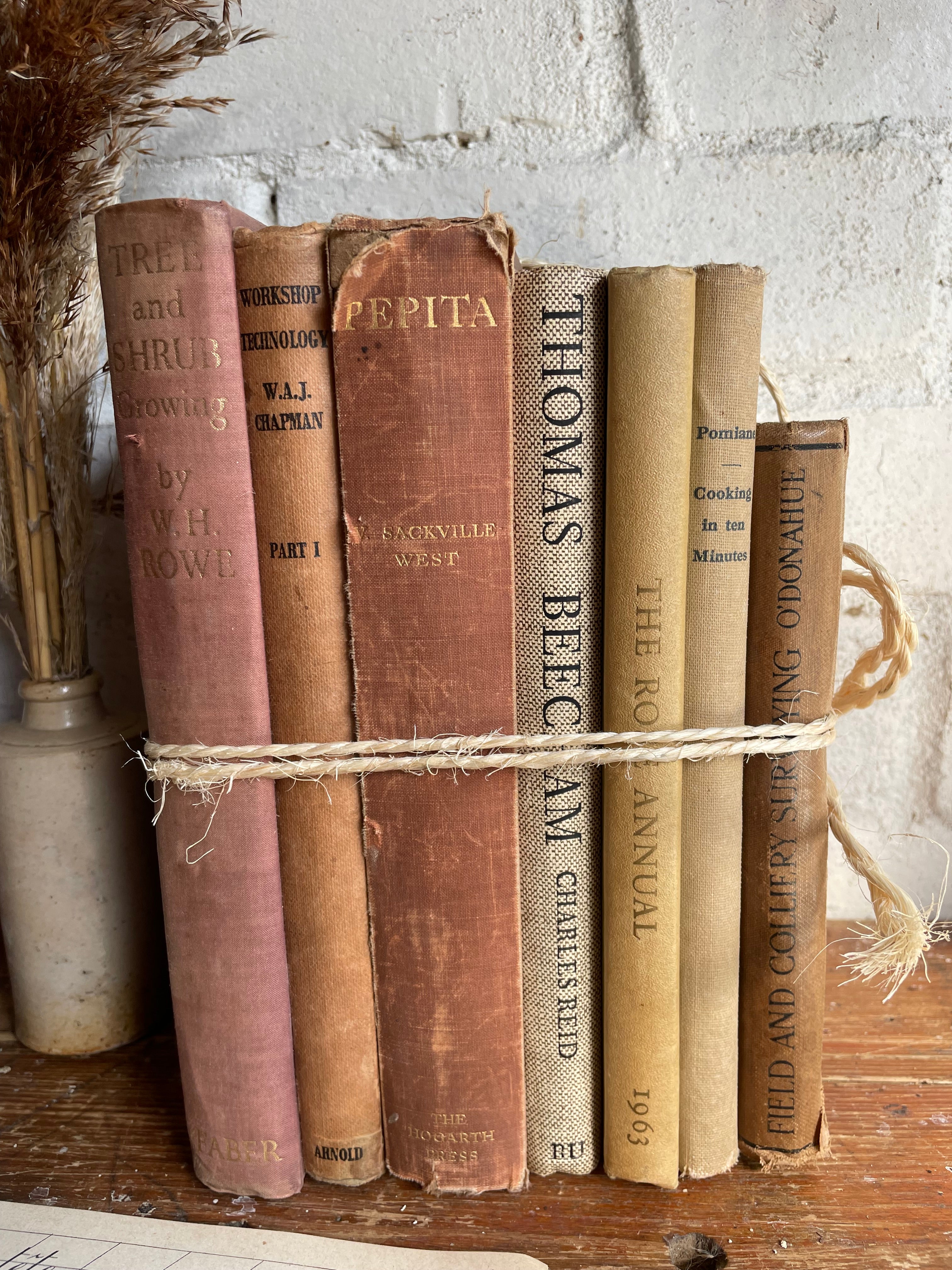 Beige Vintage Book Bundle