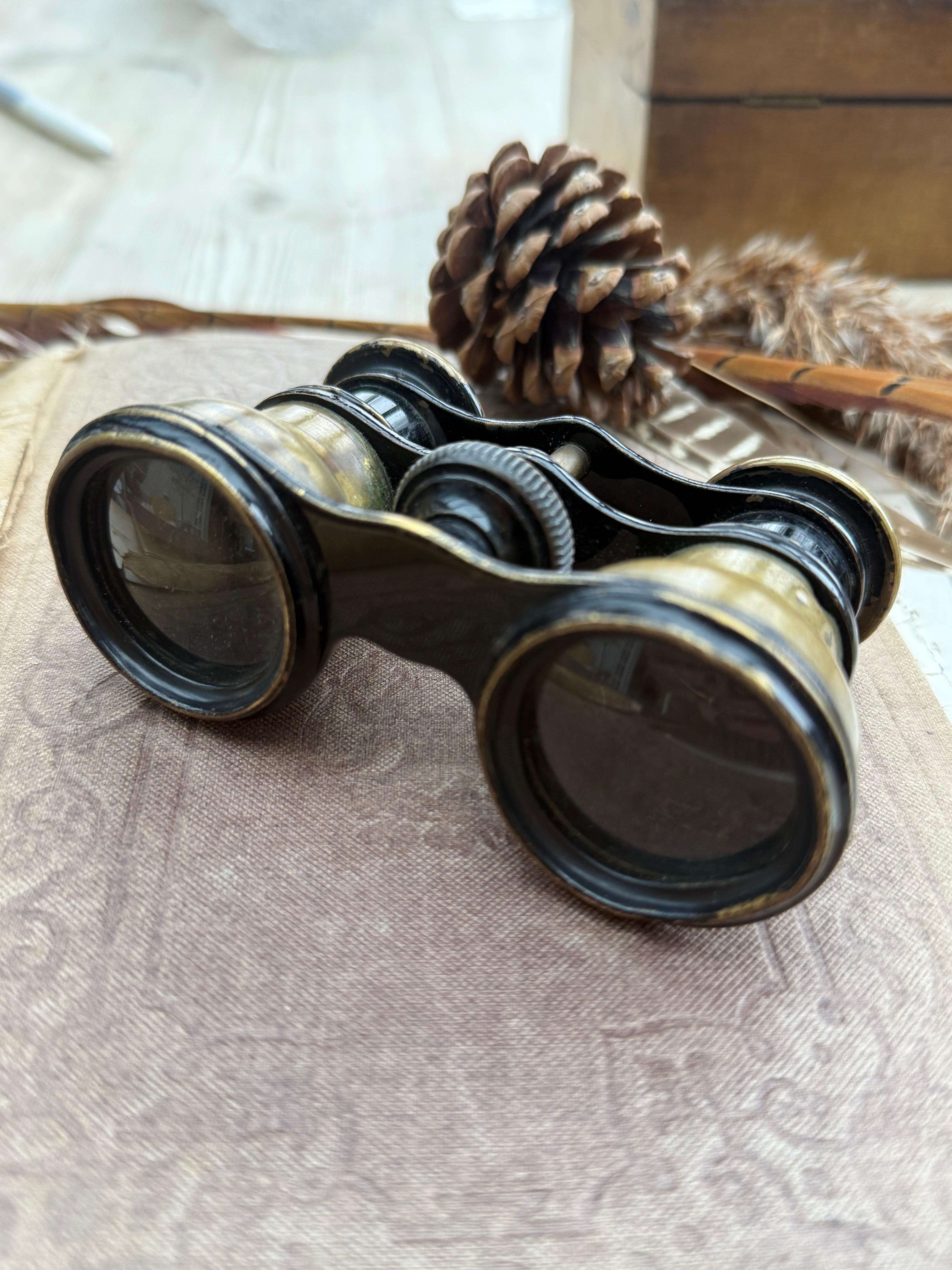 Early 1900s Brass Opera Glasses