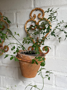 Rustic French Iron Plant Holder with Antique Resin Pot 1