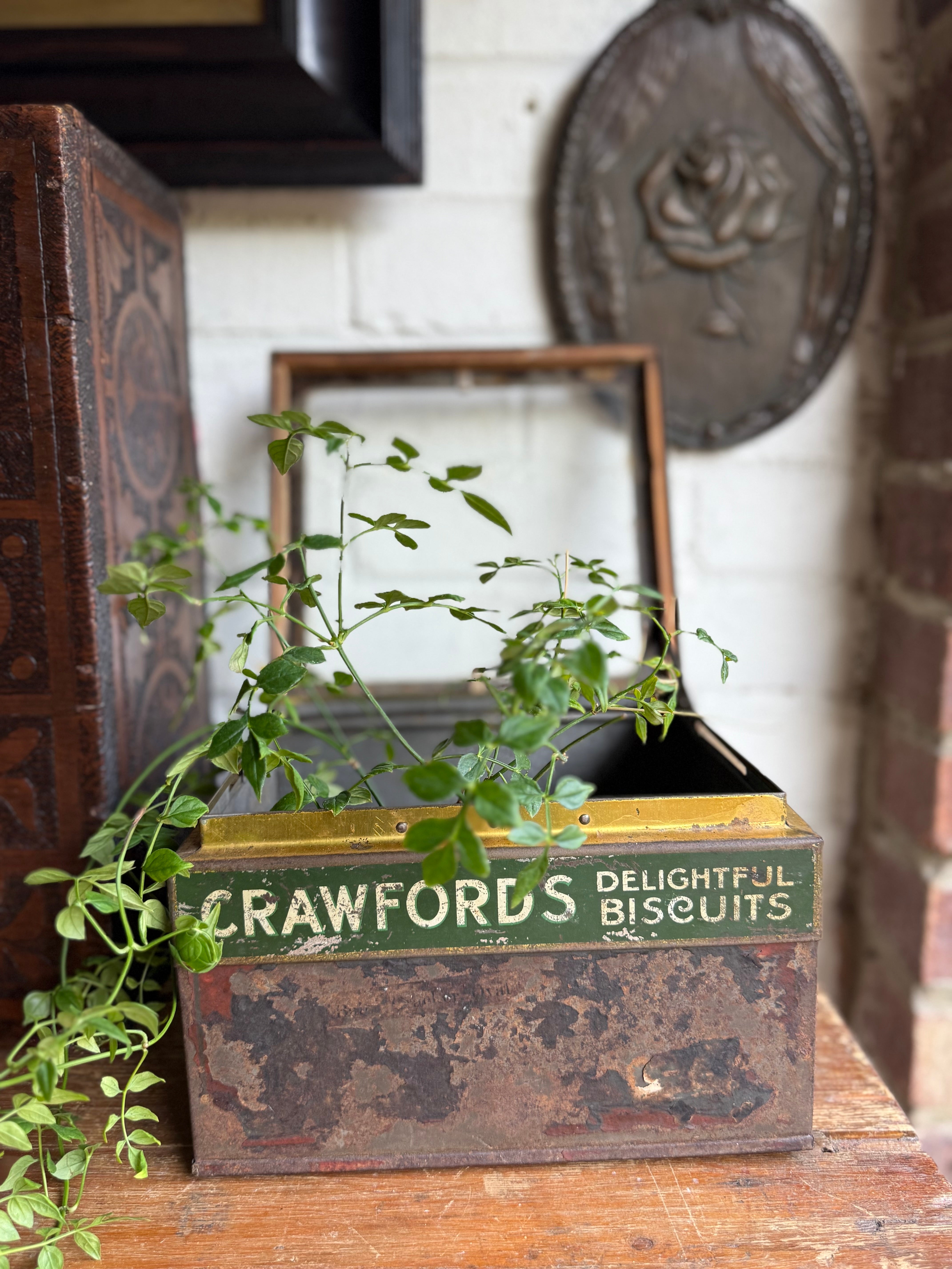 Rare Antique Crawfords Biscuit Shop Counter Display Tin with Glass Top Lid