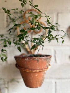 Rustic French Iron Plant Holder with Antique Resin Pot 2