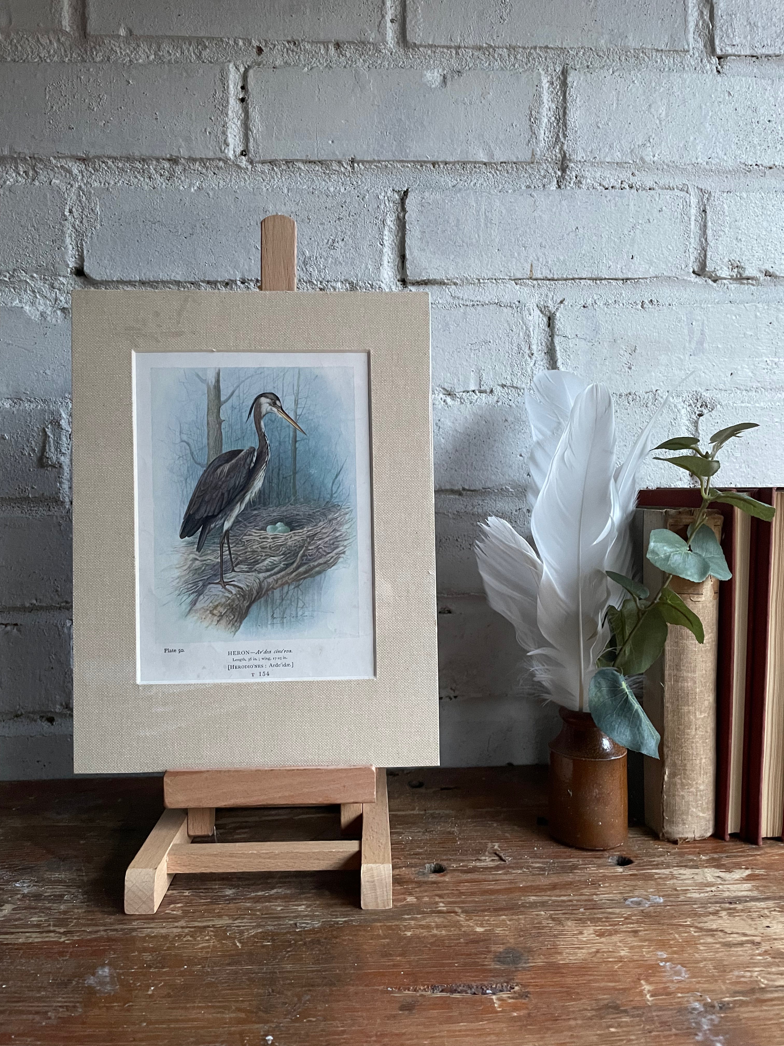 19th Century Bird Illustration with Linen Mount - Heron