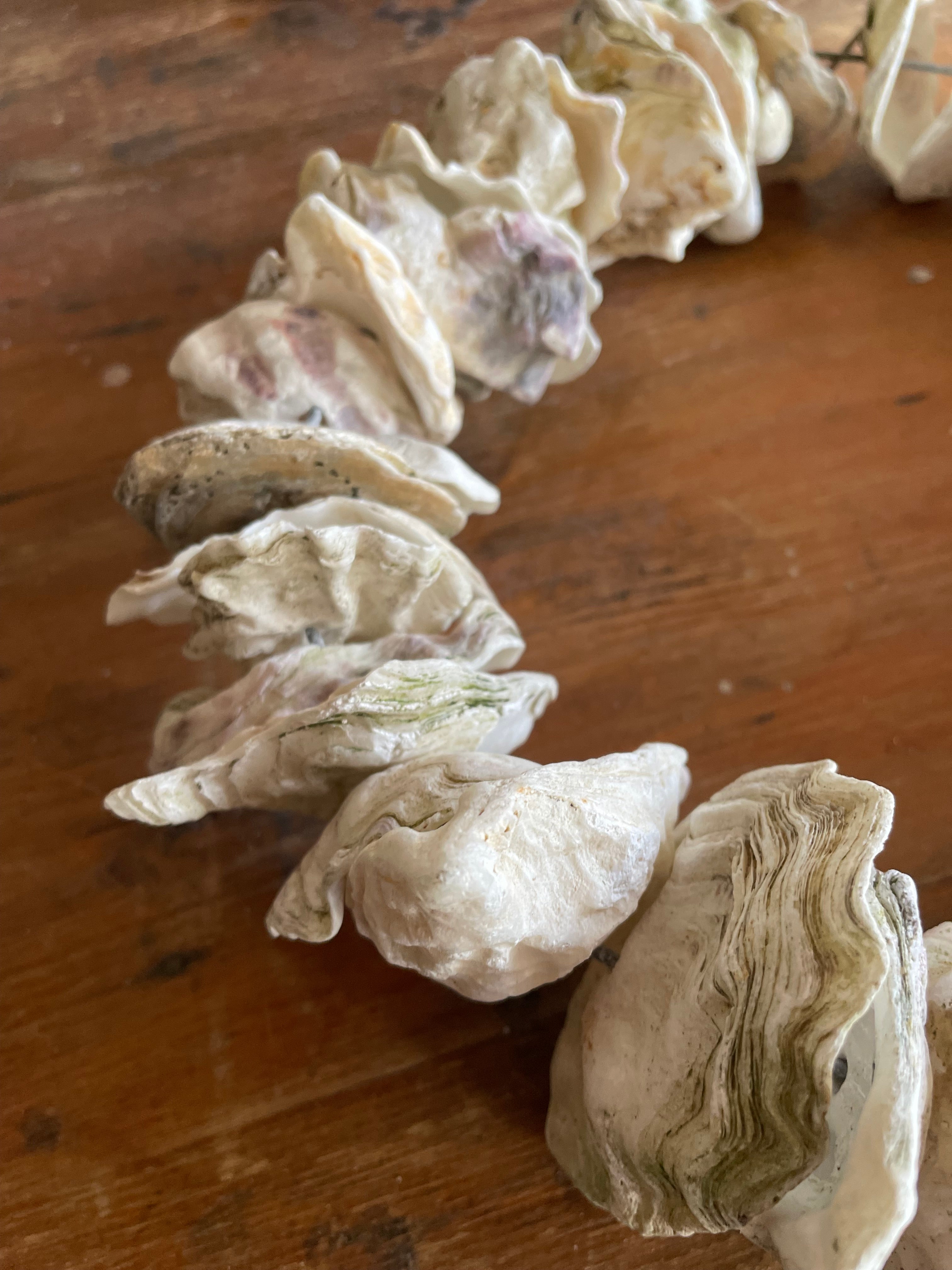 Clam Shells Wreath Wall Hanging 2