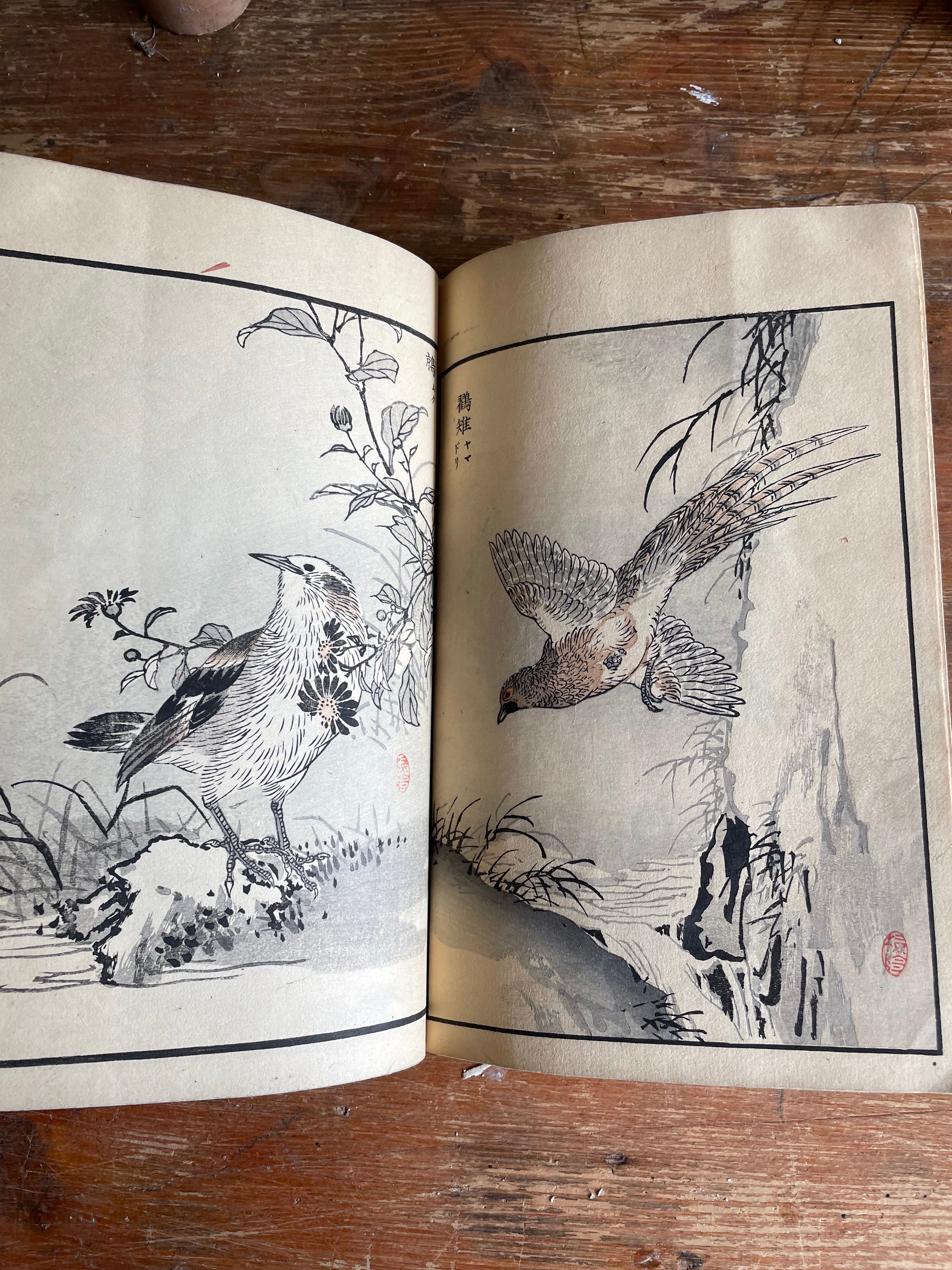 19th Century Japanese Woodblock Print Book: Illustrations of Birds