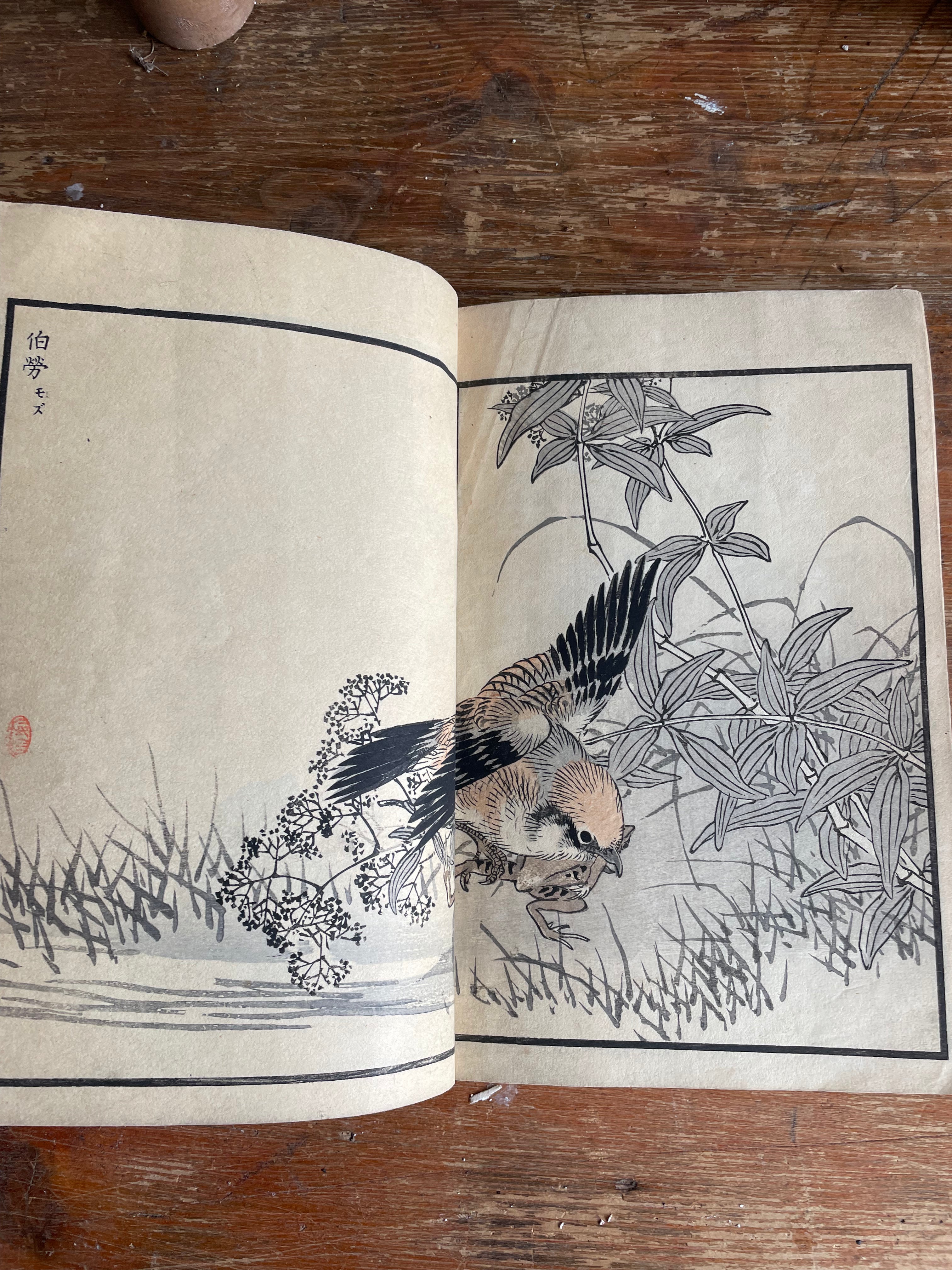 19th Century Japanese Woodblock Print Book: Illustrations of Birds
