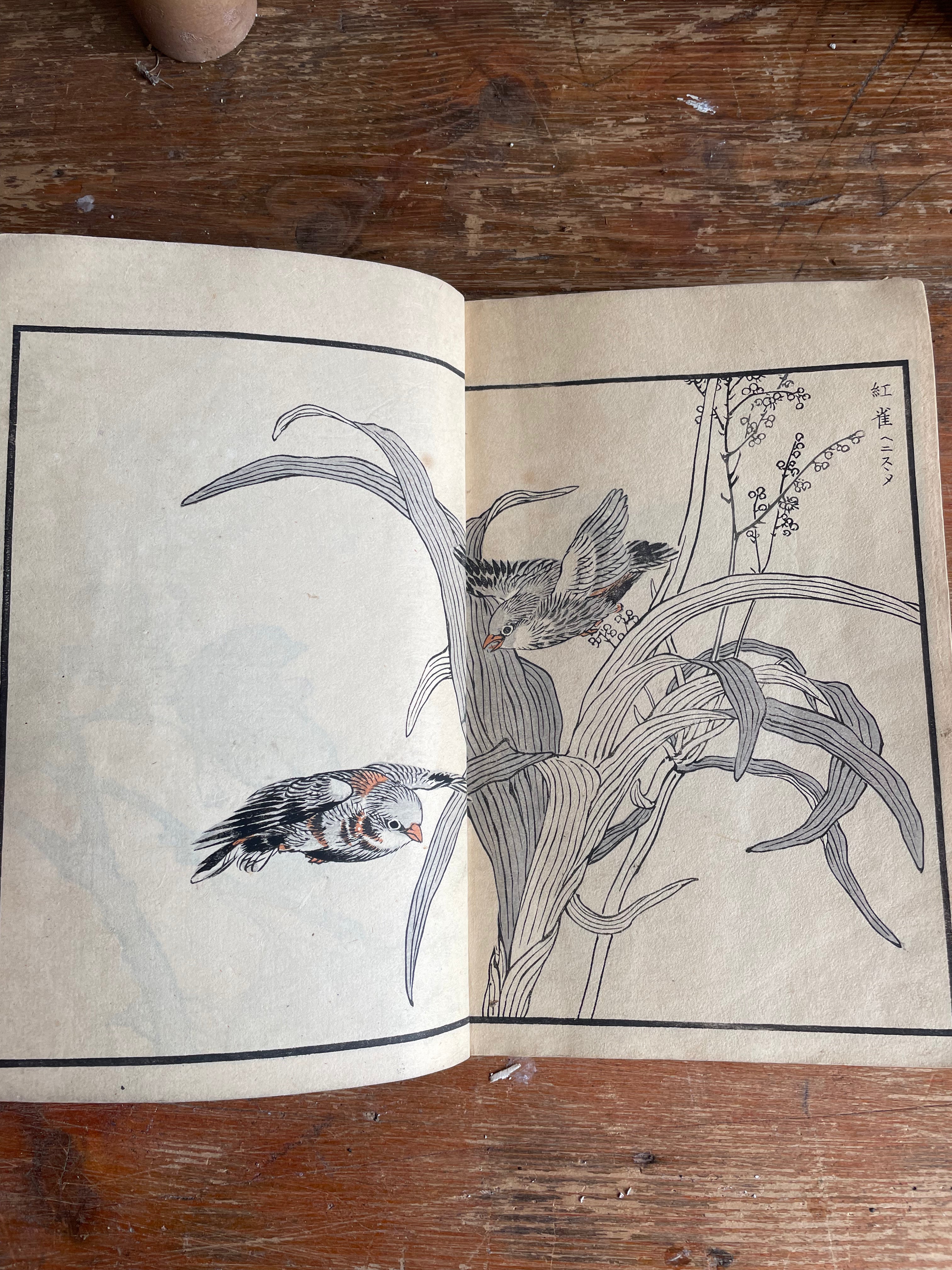 19th Century Japanese Woodblock Print Book: Illustrations of Birds