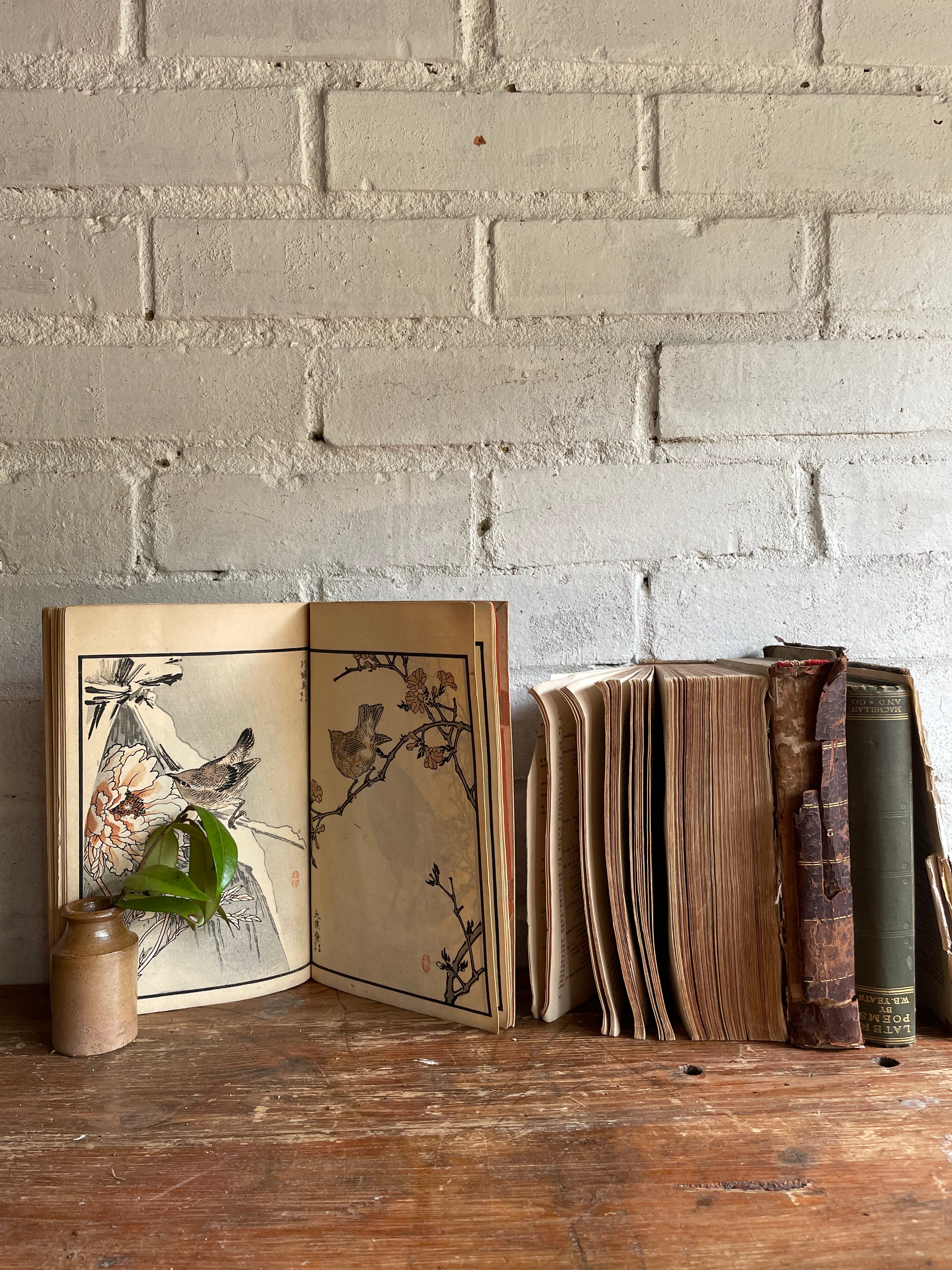 19th Century Japanese Woodblock Print Book: Illustrations of Birds