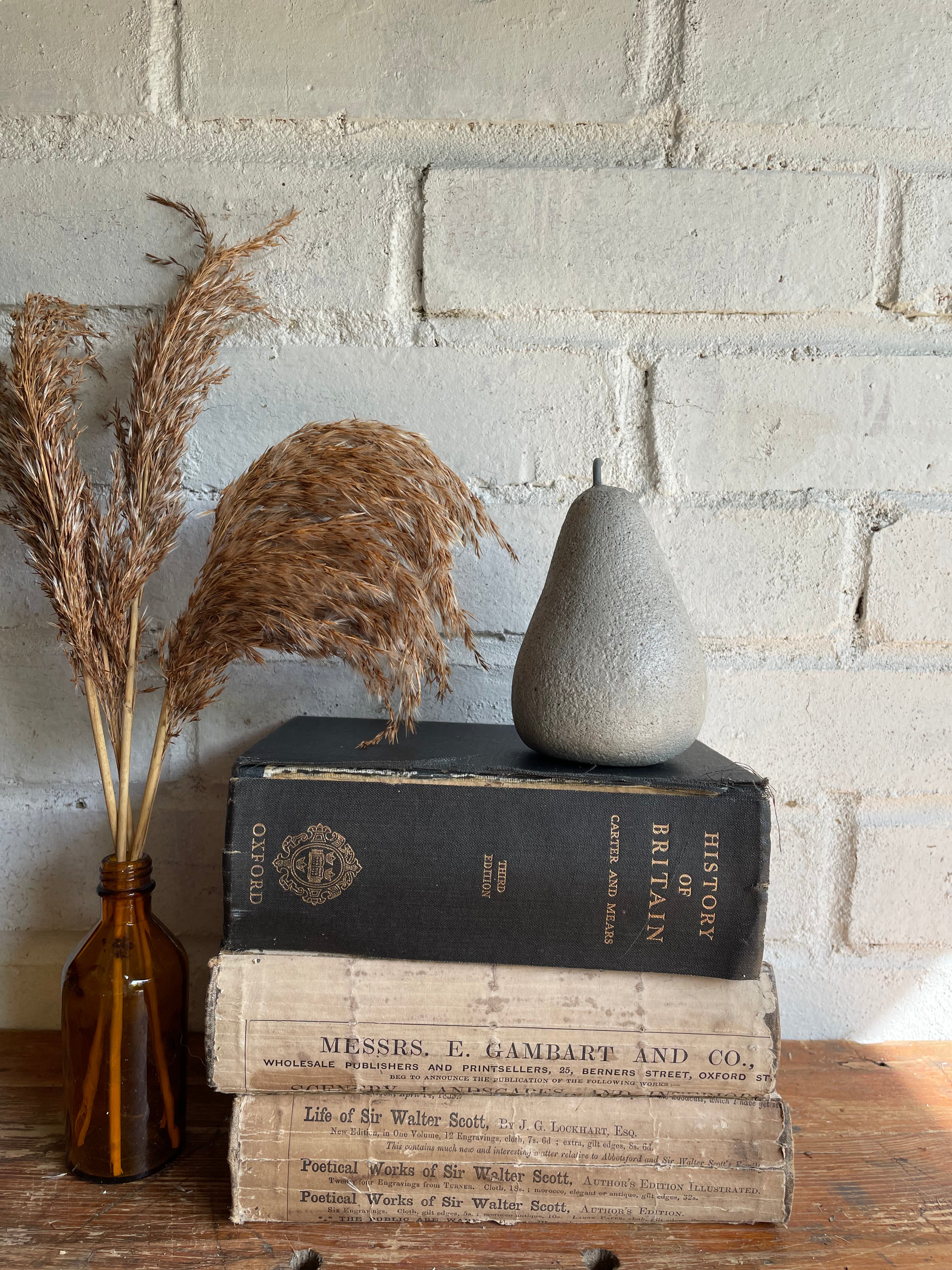 Decorative Concrete Pear