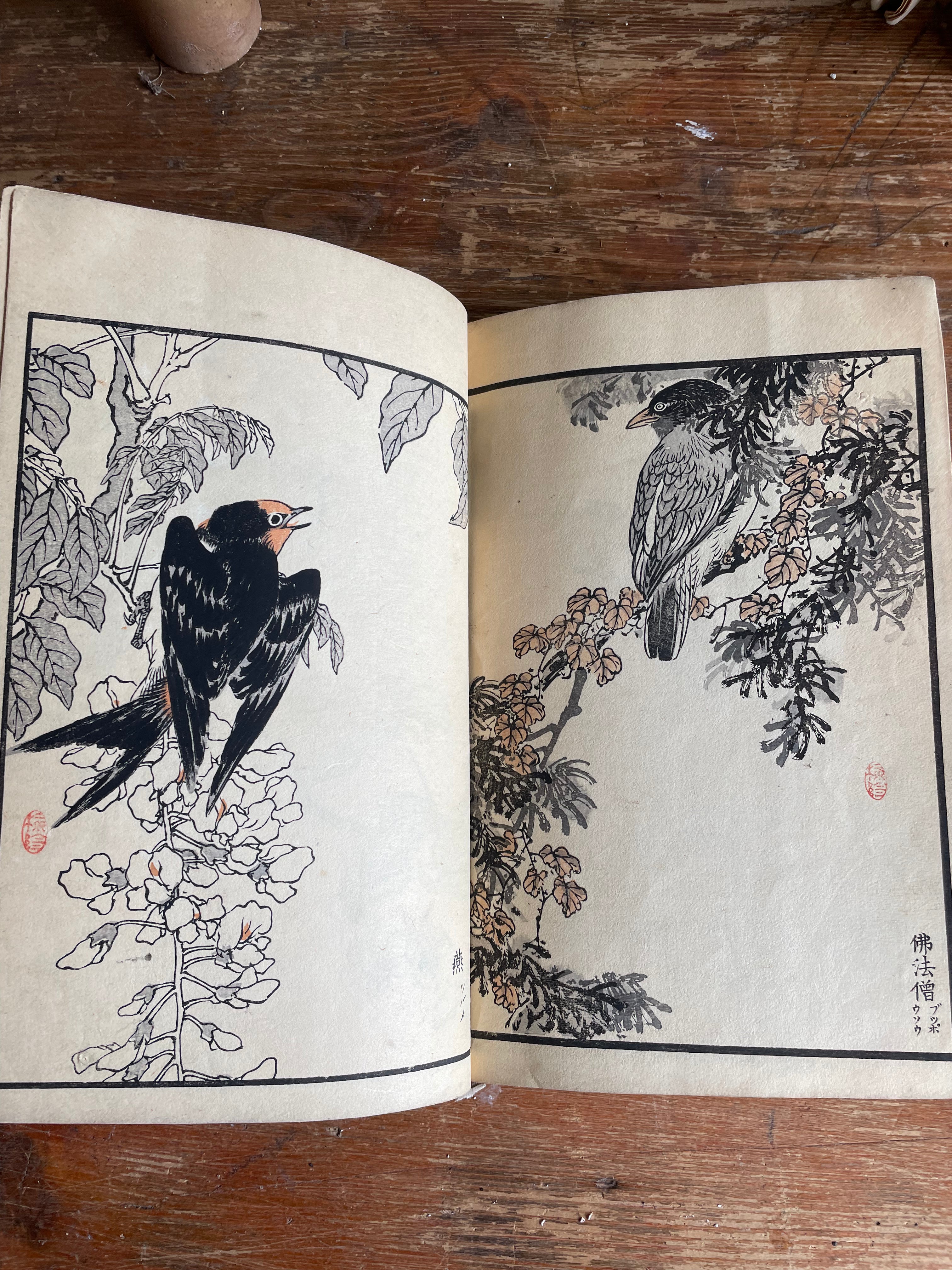 19th Century Japanese Woodblock Print Book: Illustrations of Birds