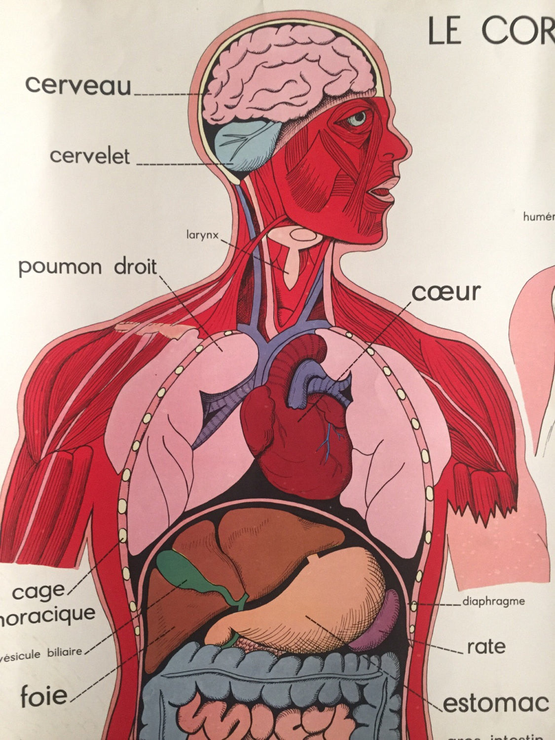 0e90cc04-dfd9-4162-9bc9-7ab894df74a4.jpg