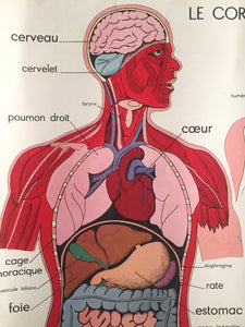 0e90cc04-dfd9-4162-9bc9-7ab894df74a4.jpg
