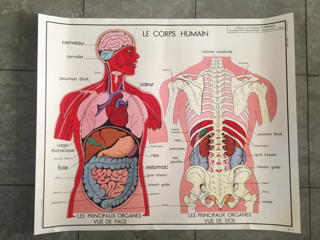 4e57c1d4-8ada-4cdd-82af-c041be147bcf.jpg