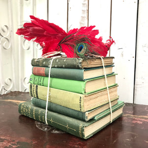 Vintage Book Bundle in Green Tones