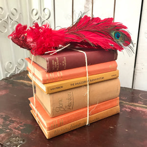 Vintage Book Bundle in Orange Tones