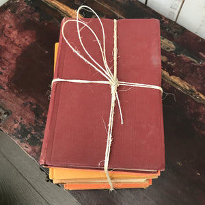 Vintage Book Bundle in Orange Tones