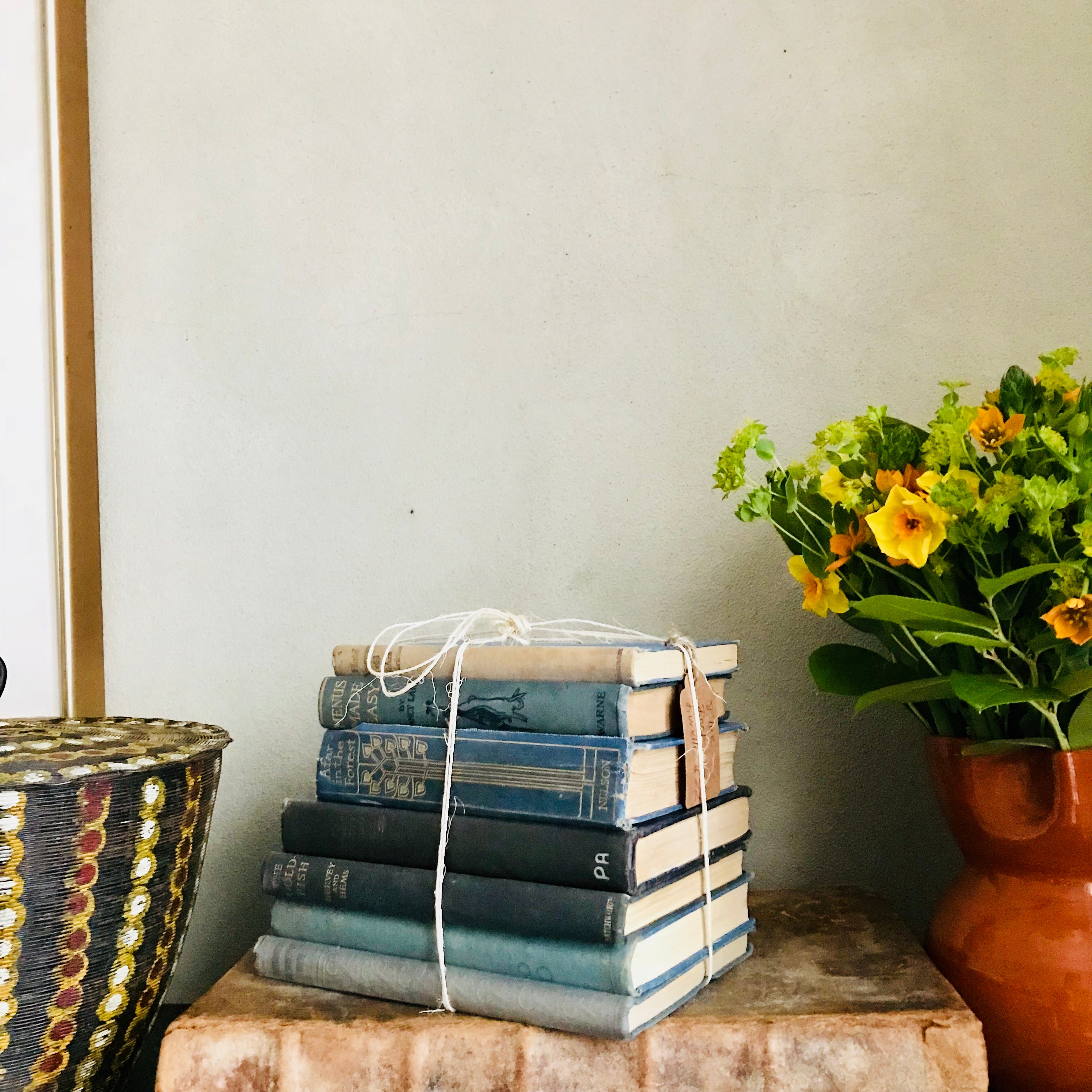 Blue Book Bundle