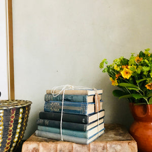 Blue Book Bundle