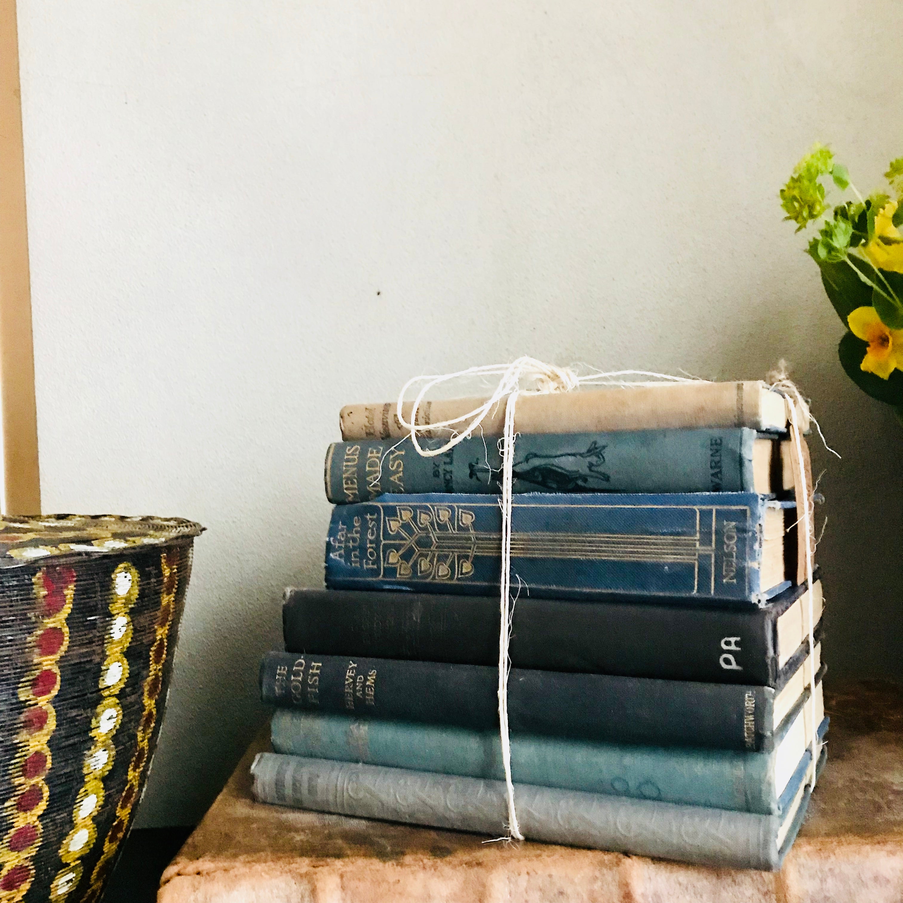 Blue Book Bundle