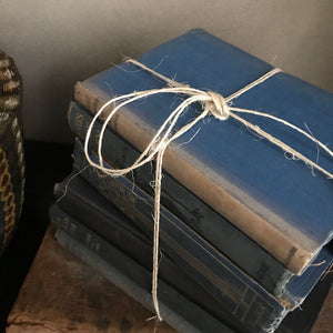 Blue Book Bundle
