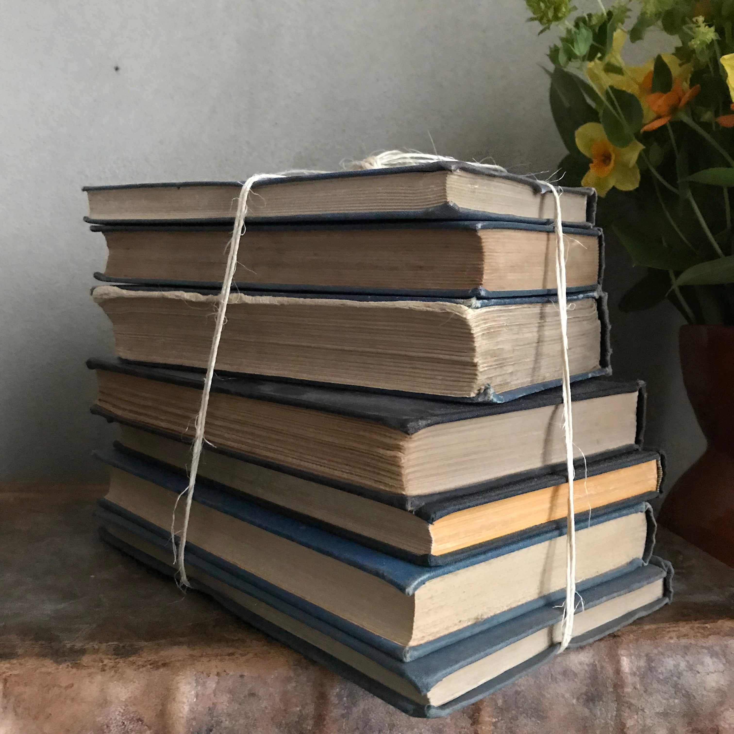 Blue Book Bundle