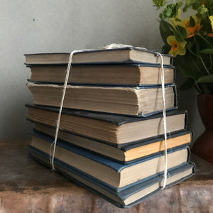 Blue Book Bundle