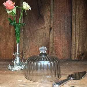 French Vintage Glass Dome/Cloche
