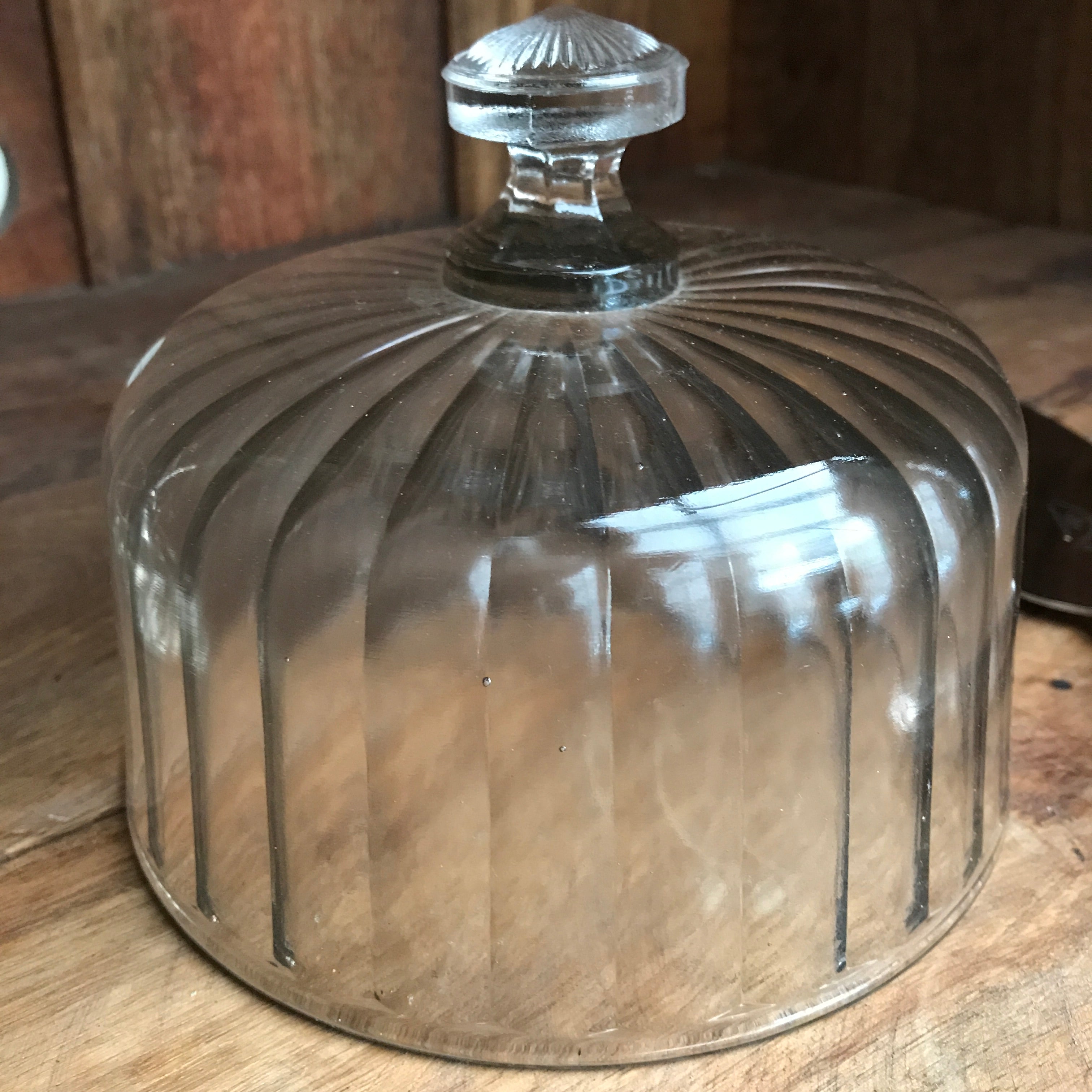 French Vintage Glass Dome/Cloche