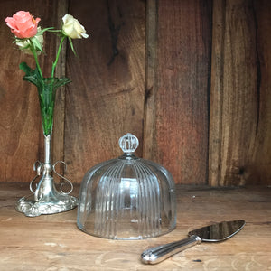 French Vintage Glass Dome/Cloche