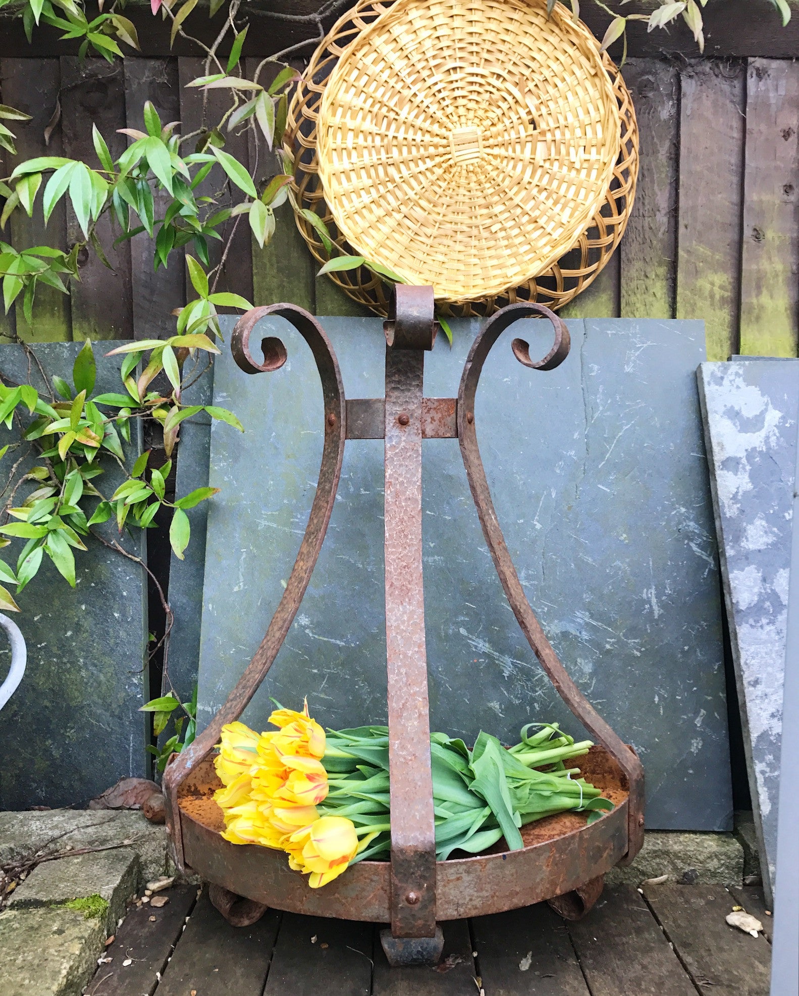 Vintage French Wall-Mounted Iron Planter or Shelf
