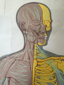 e01e704c-529b-47a8-97f6-7e5649e4bd8b.jpg