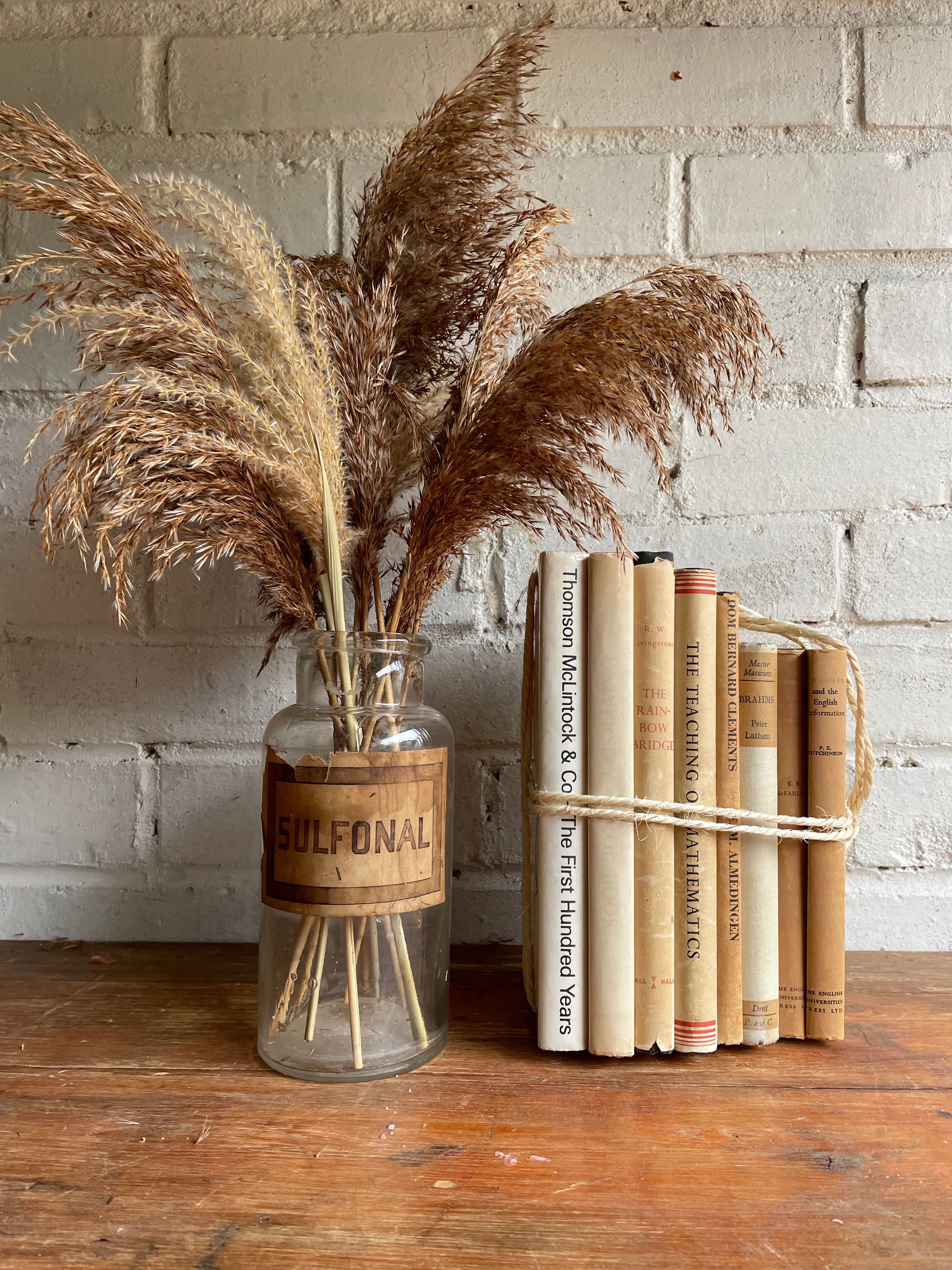 Beige Book Bundle