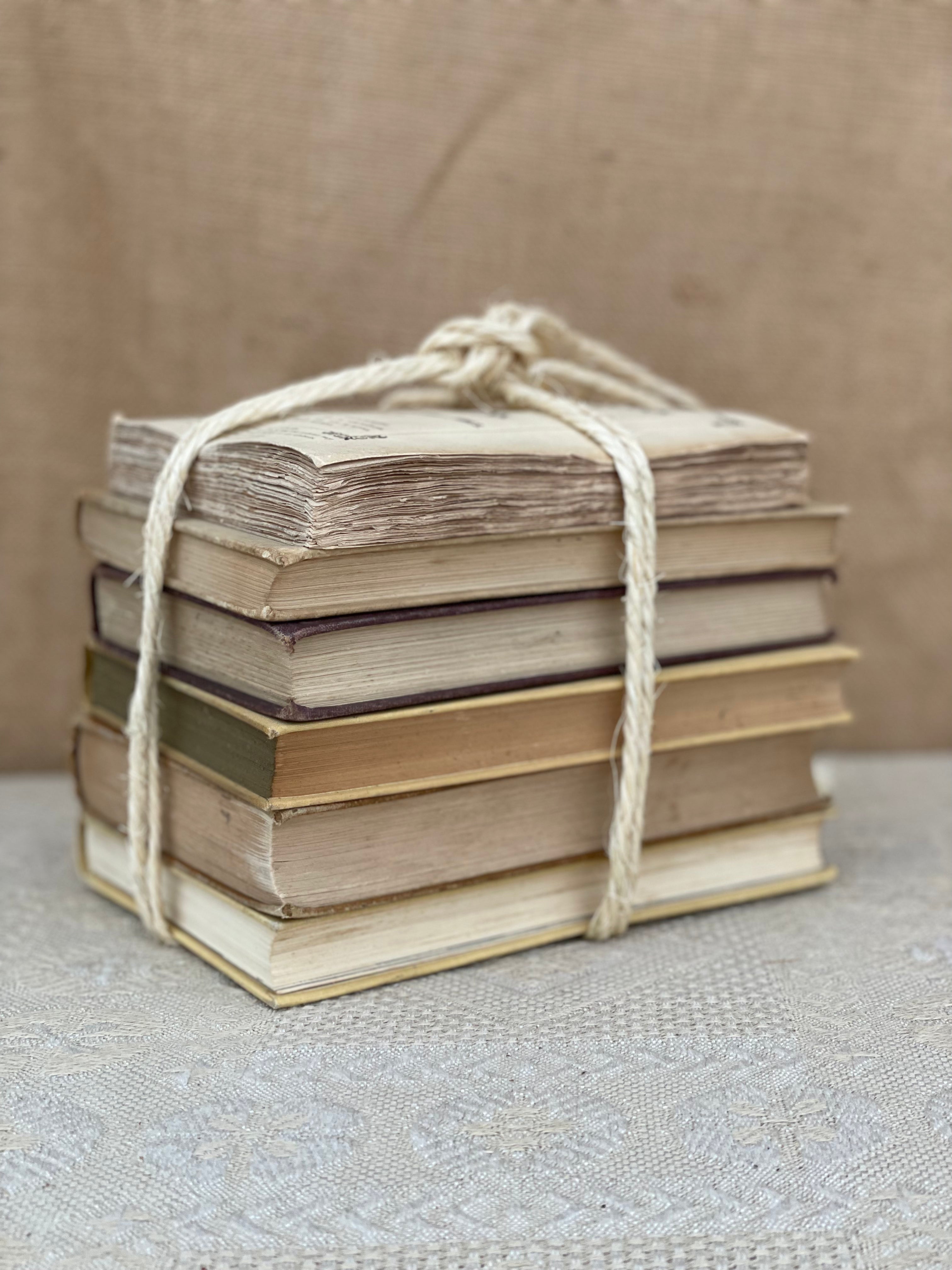 Beige Book Bundle