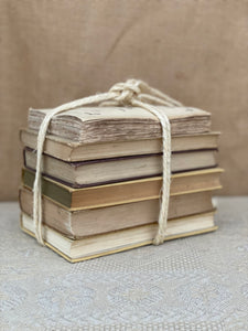 Beige Book Bundle