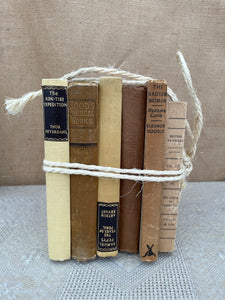 Beige Book Bundle